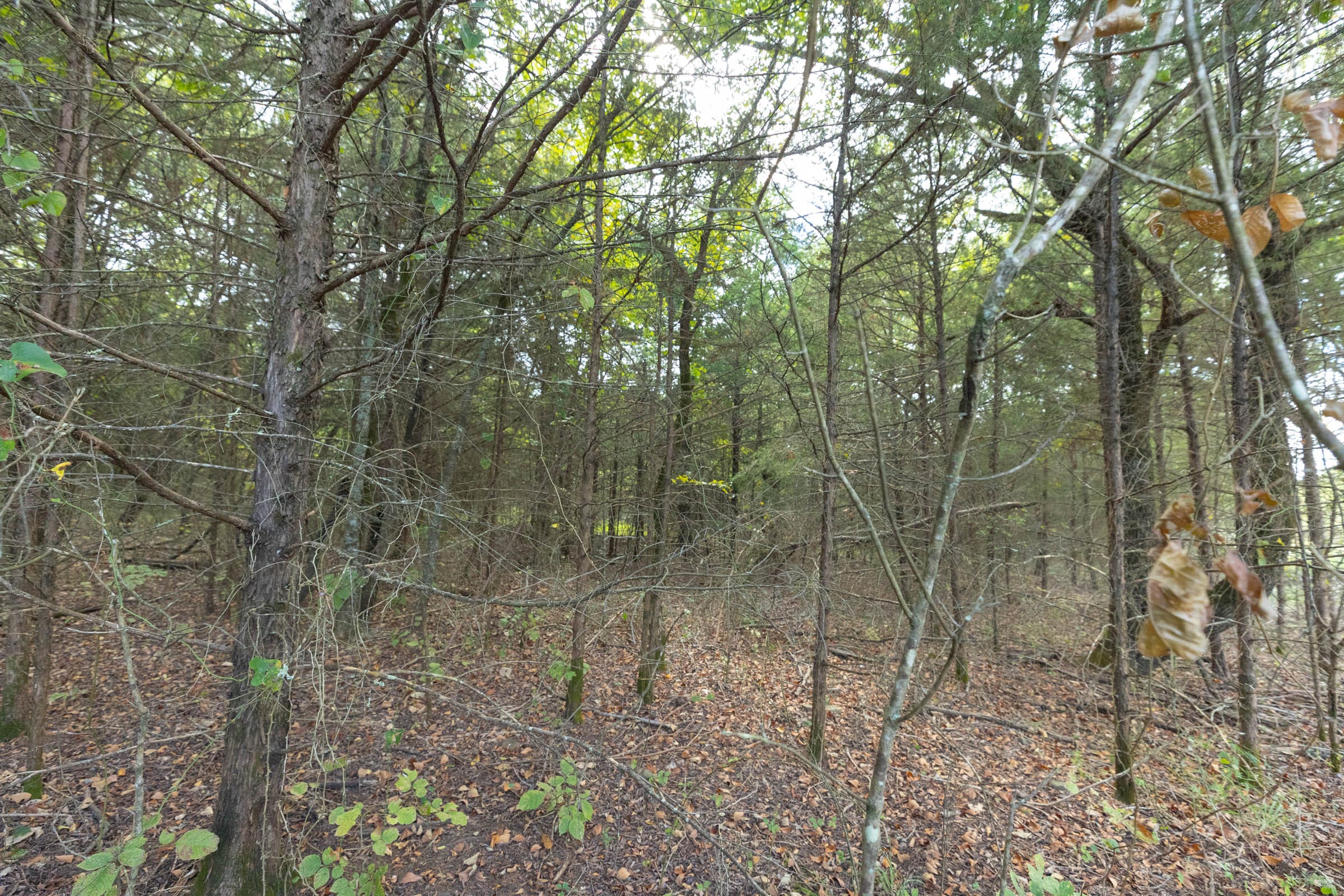 Reserves At Cattail Cove Phase II Tract 79 photo 12