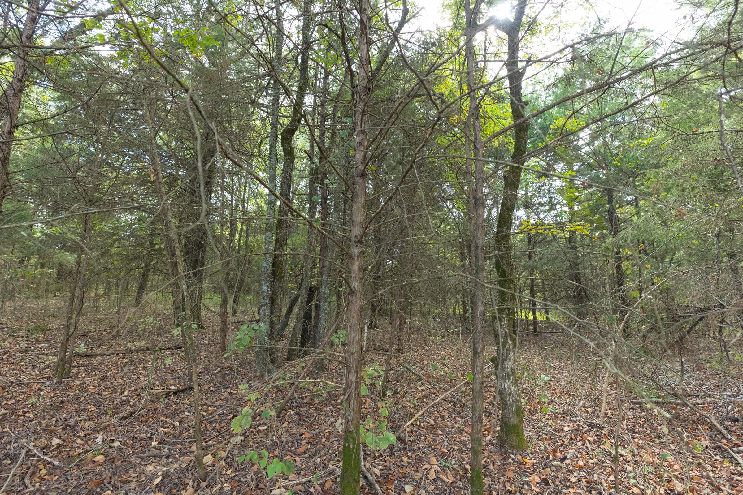 Reserves At Cattail Cove Phase II Tract 79 photo 11