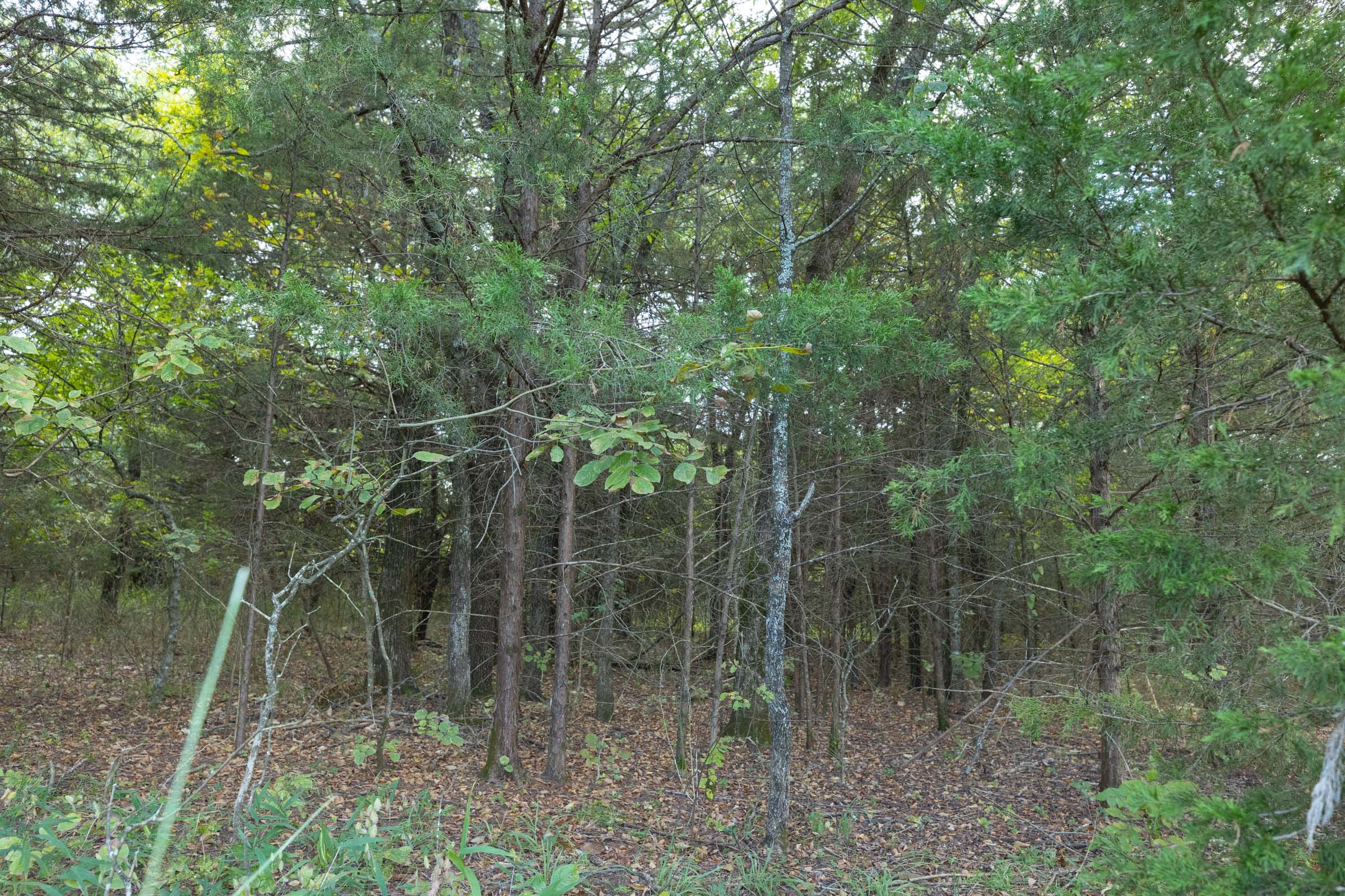 Reserves At Cattail Cove Phase II Tract 79 photo 10