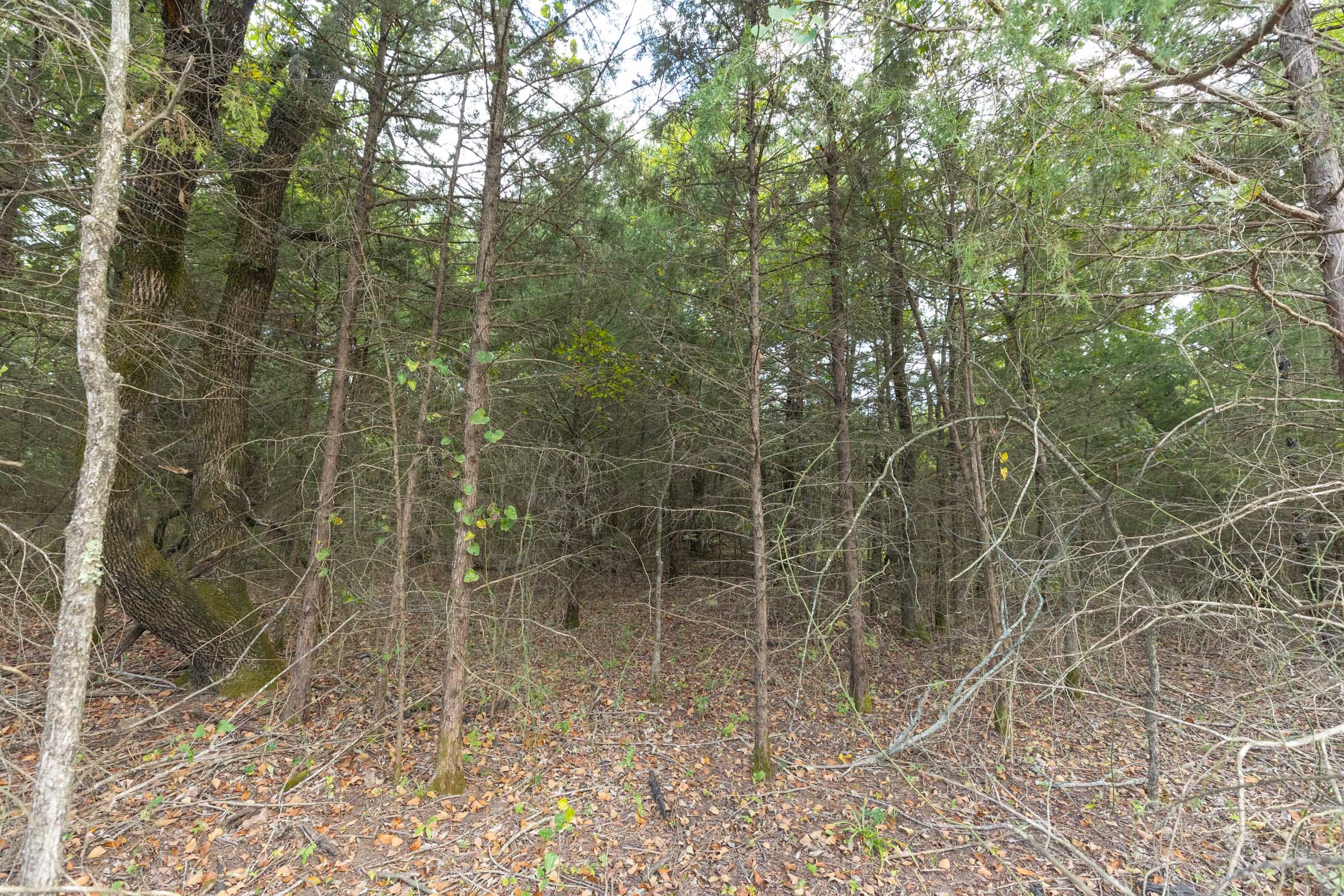 Reserves At Cattail Cove Phase II Tract 79 photo 9