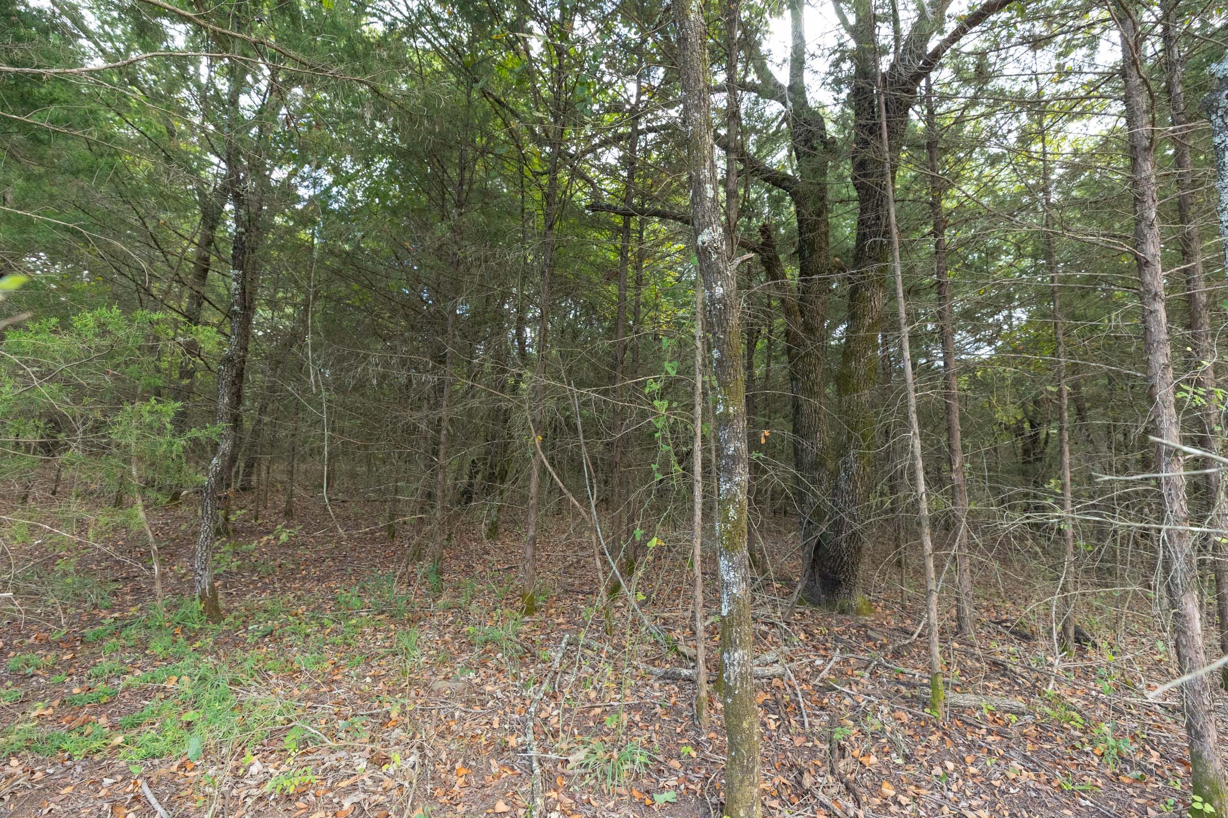 Reserves At Cattail Cove Phase II Tract 79 photo 8