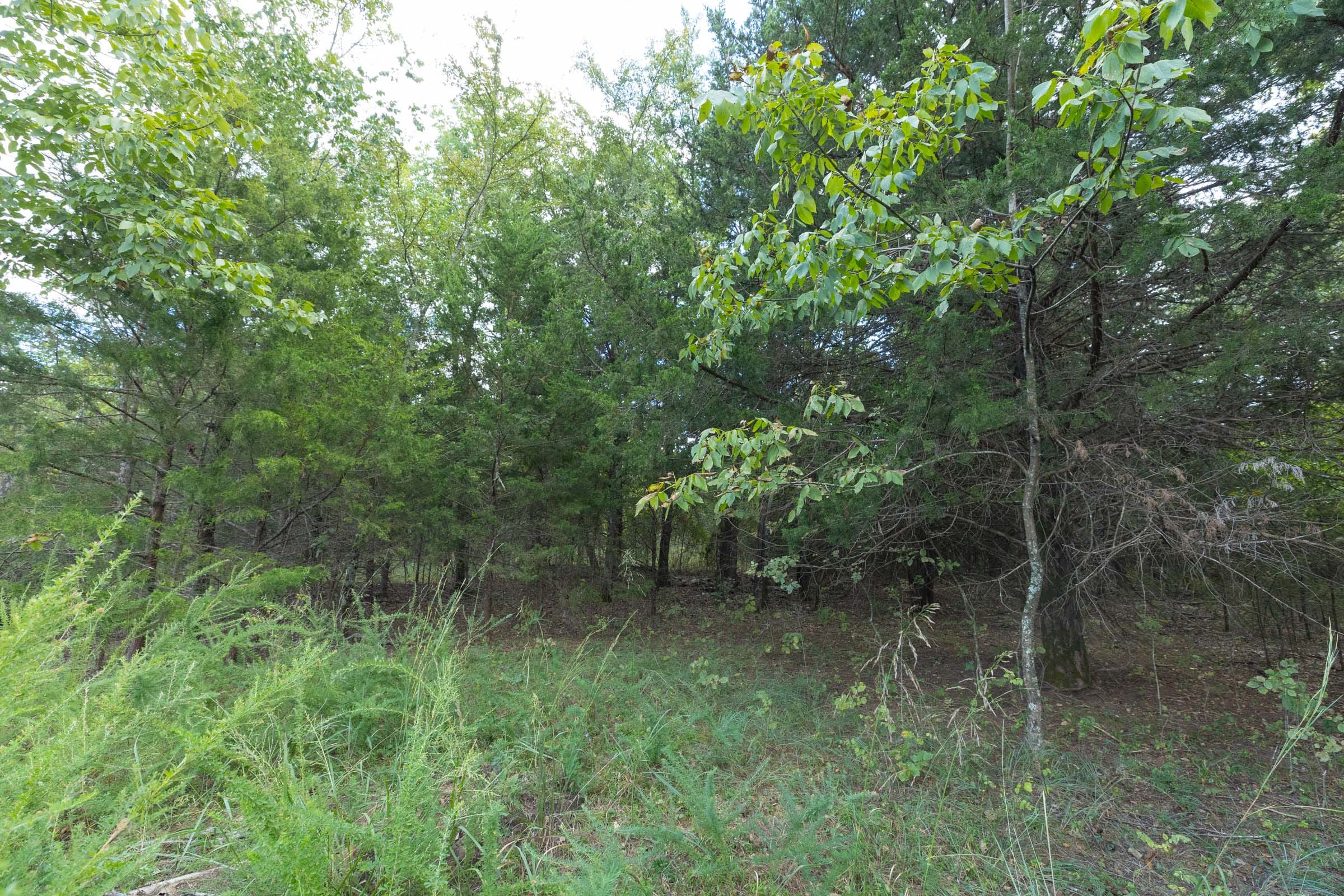 Reserves At Cattail Cove Phase II Tract 79 photo 7