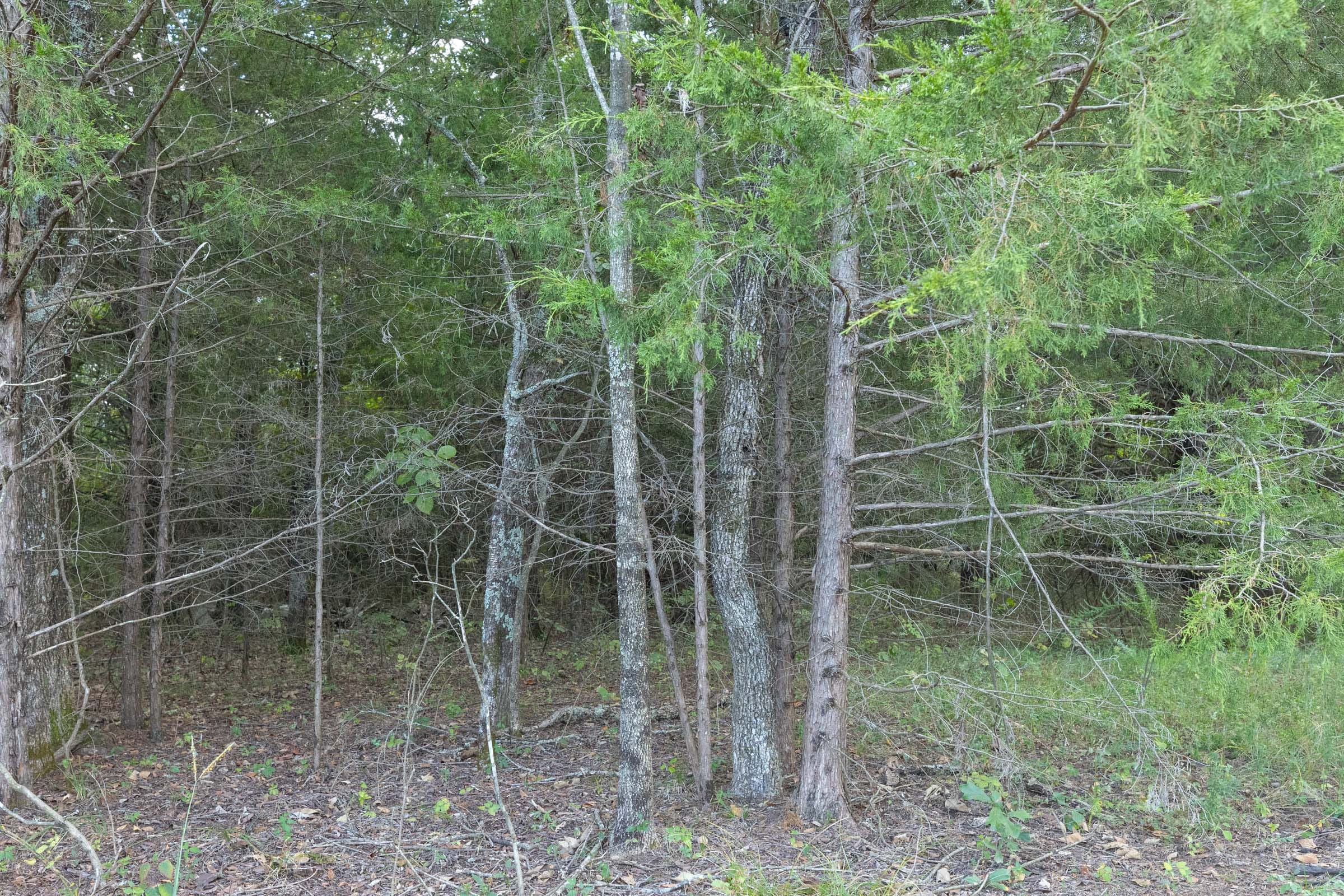 Reserves At Cattail Cove Phase II Tract 79 photo 14