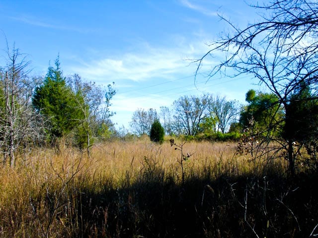 Saddlebrook Ranch Tract 20 photo 3