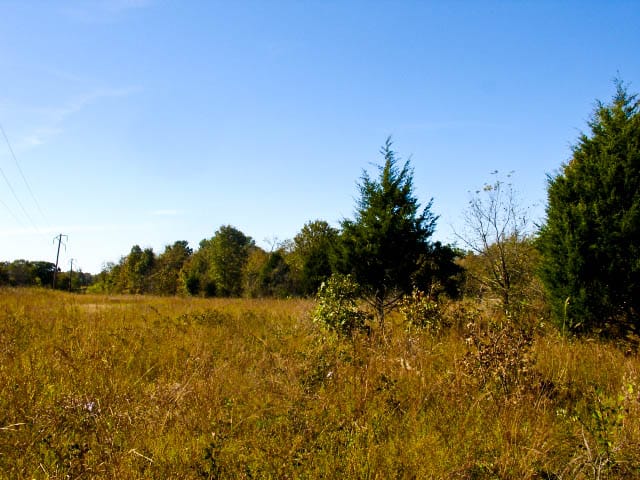 Saddlebrook Ranch Tract 20 photo 5