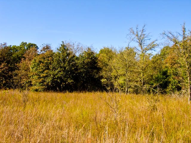Saddlebrook Ranch Tract 20 photo 6