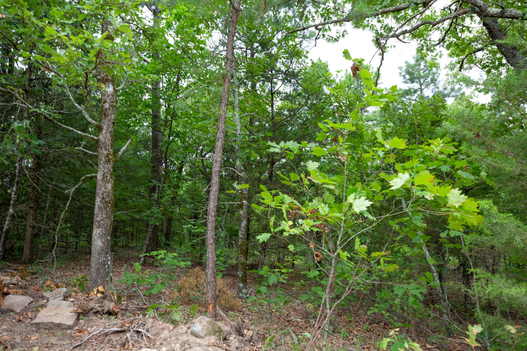 Eagle’s Nest Tract 77 photo 3