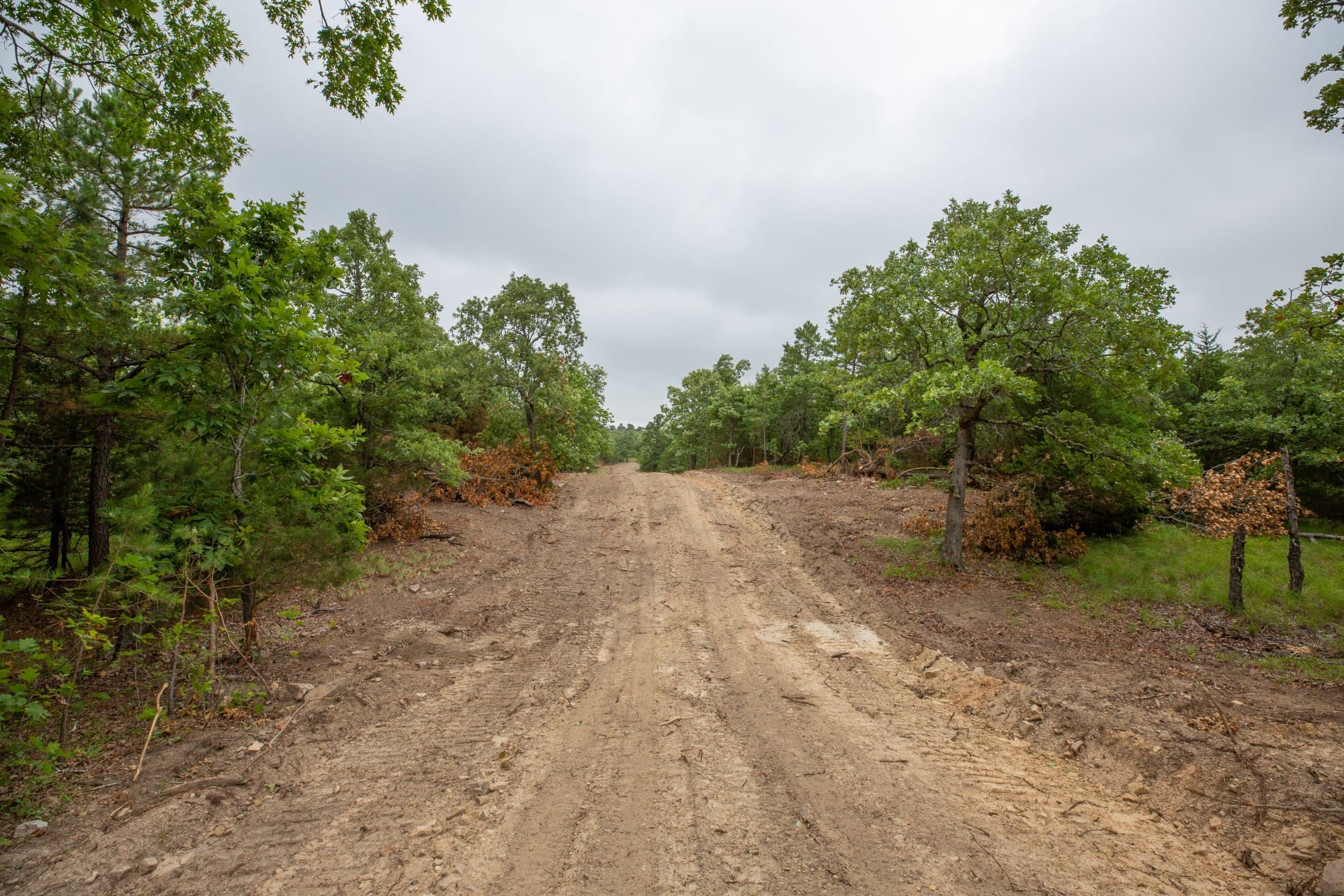 Eagle’s Nest Tract 77 photo 2