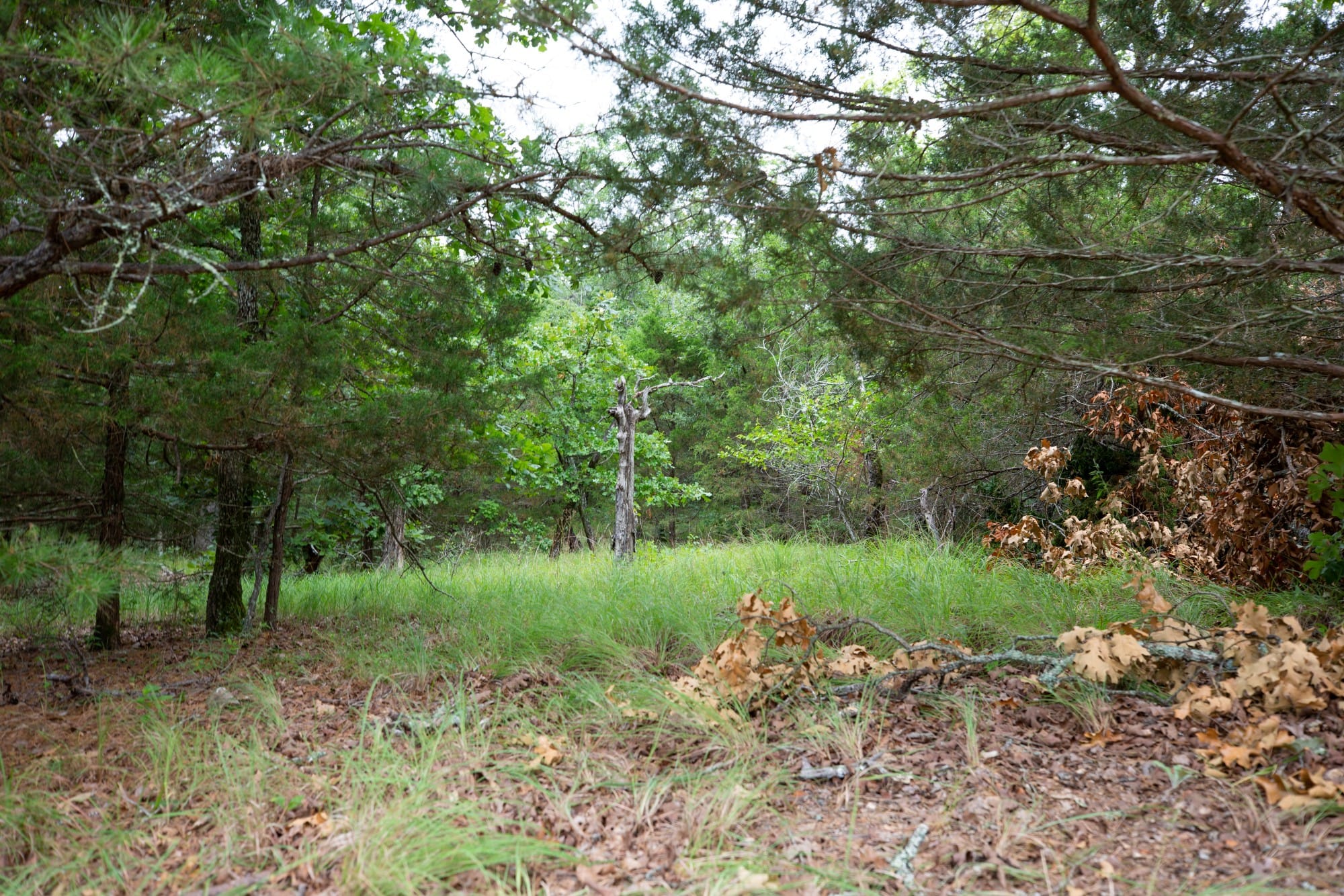 Eagle’s Nest Tract 77 photo 7