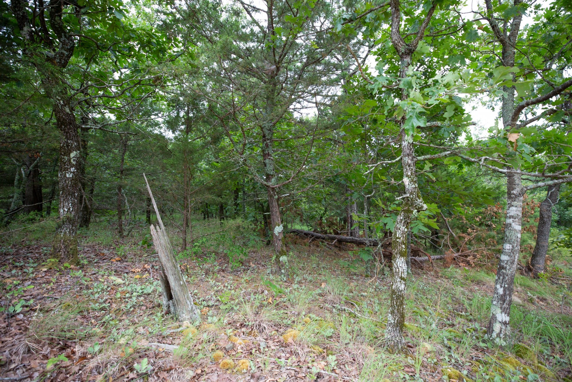 Eagle’s Nest Tract 77 photo 10