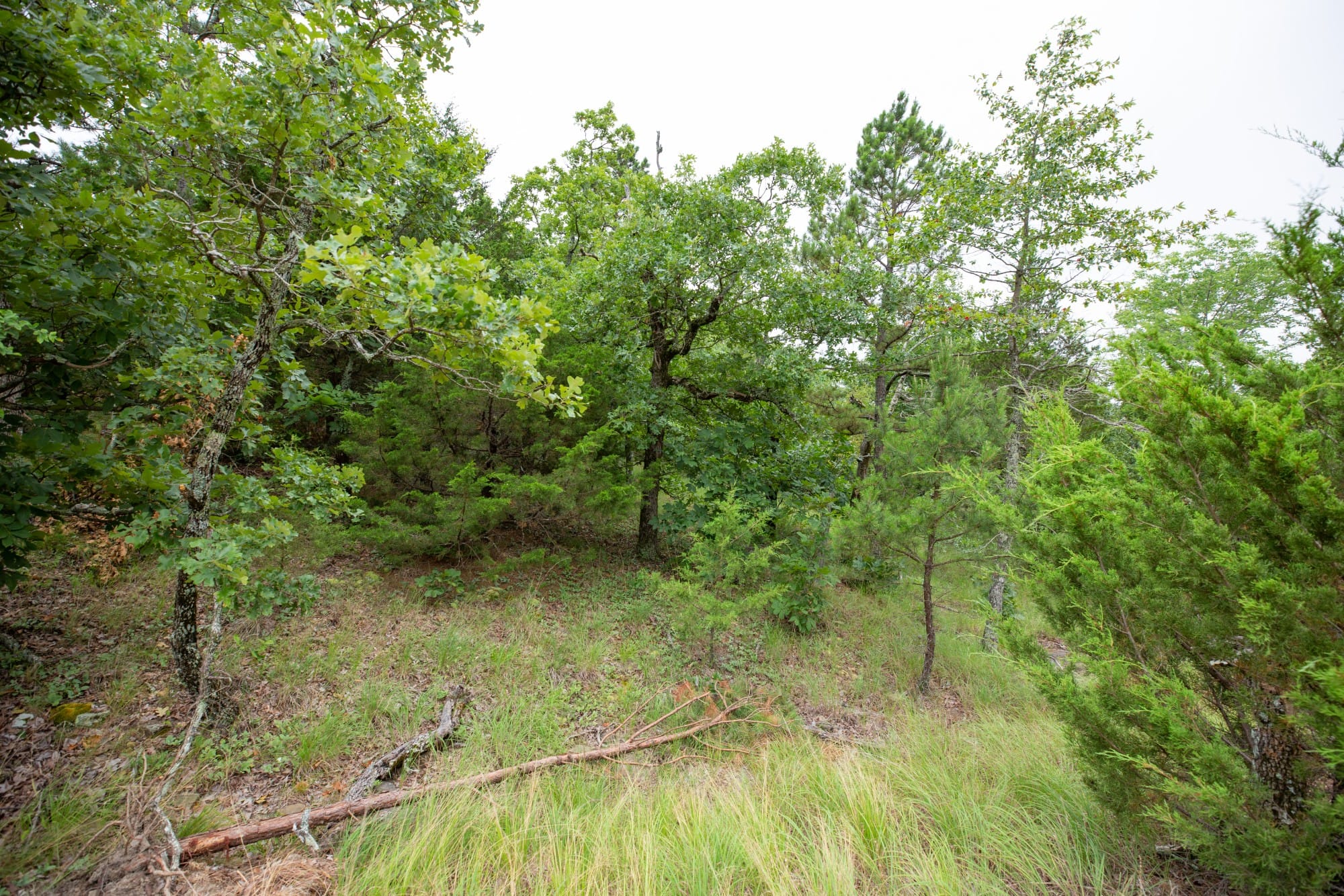 Eagle’s Nest Tract 77 photo 12