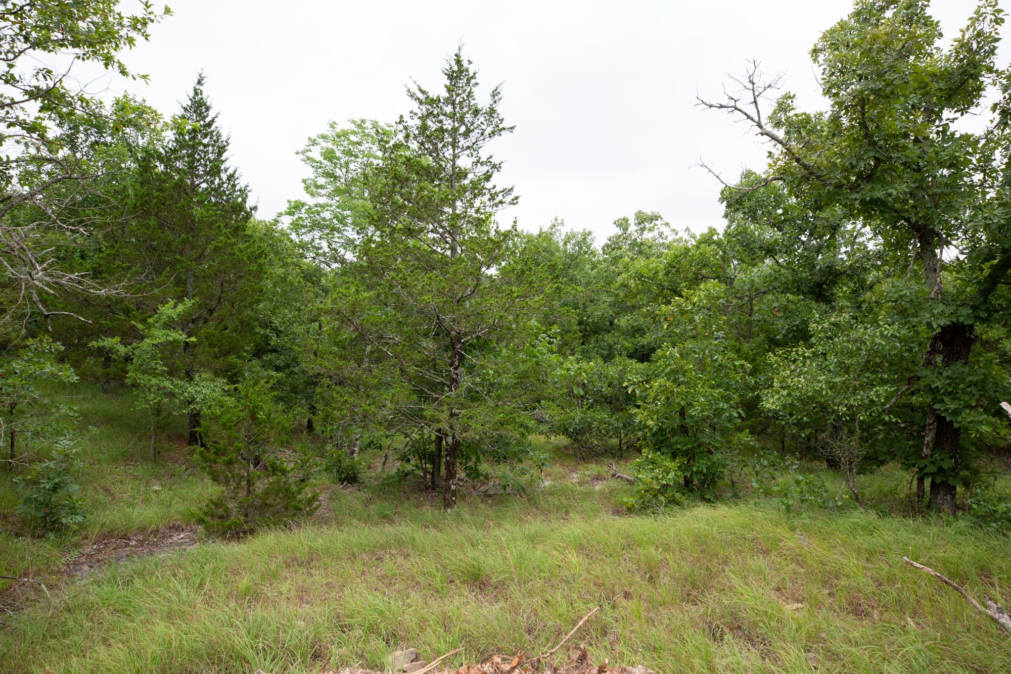 Eagle’s Nest Tract 77 photo 13