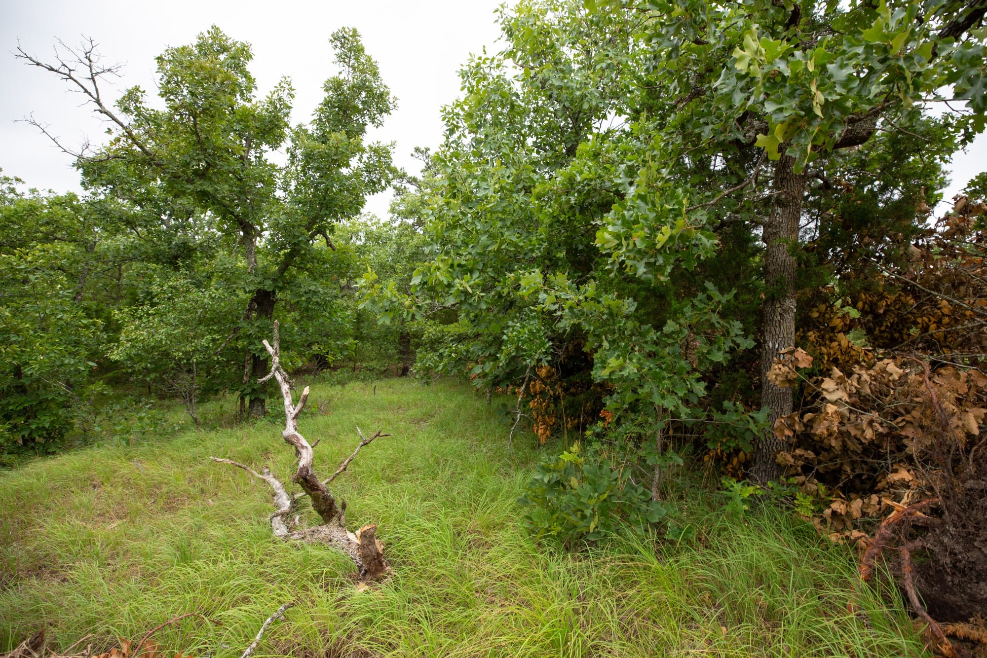 Eagle’s Nest Tract 77 photo 14