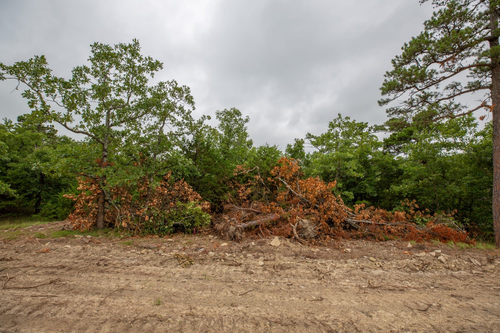 Eagle’s Nest Tract 77 photo 11