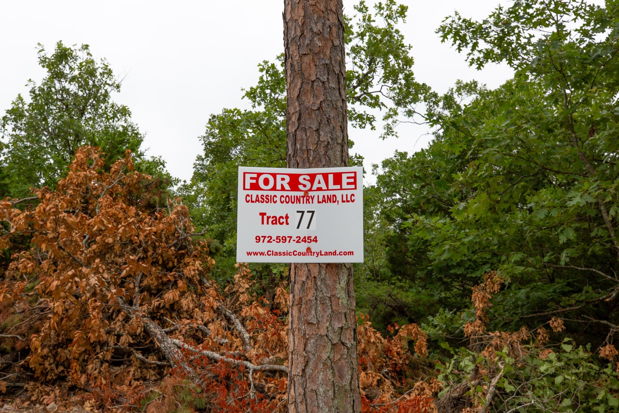 Eagle’s Nest Tract 77 photo 1