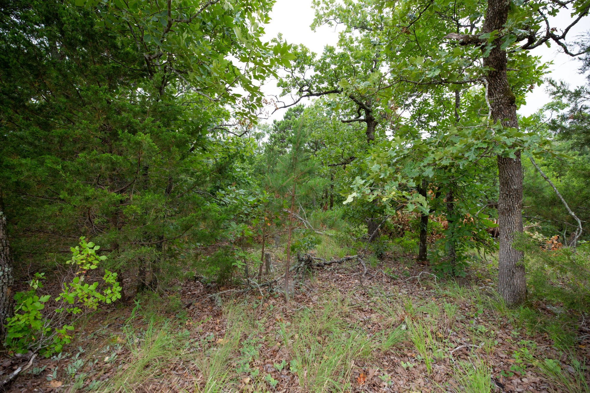 Eagle’s Nest Tract 77 photo 15