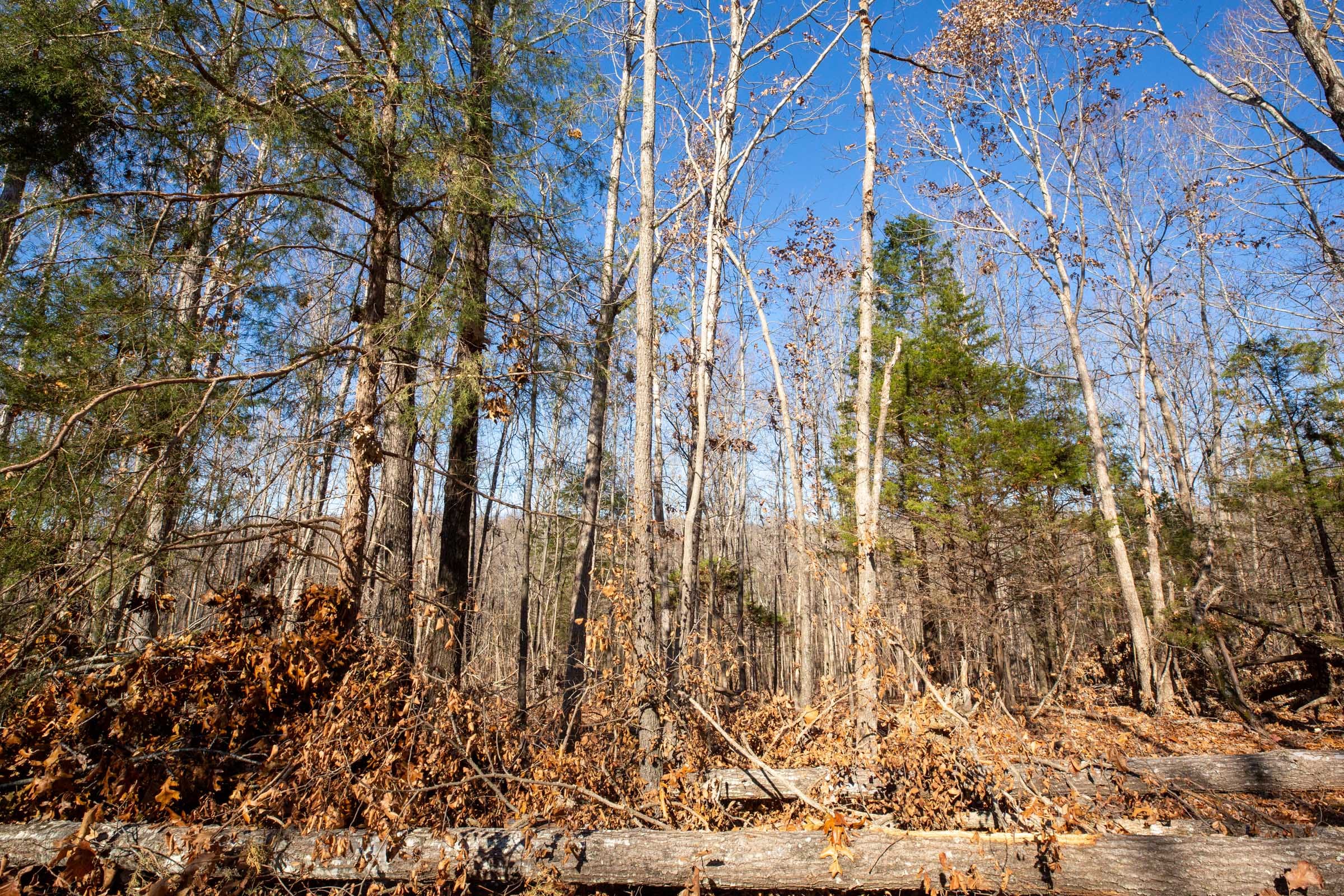 Dutchman Hollow Tract 9 photo 2