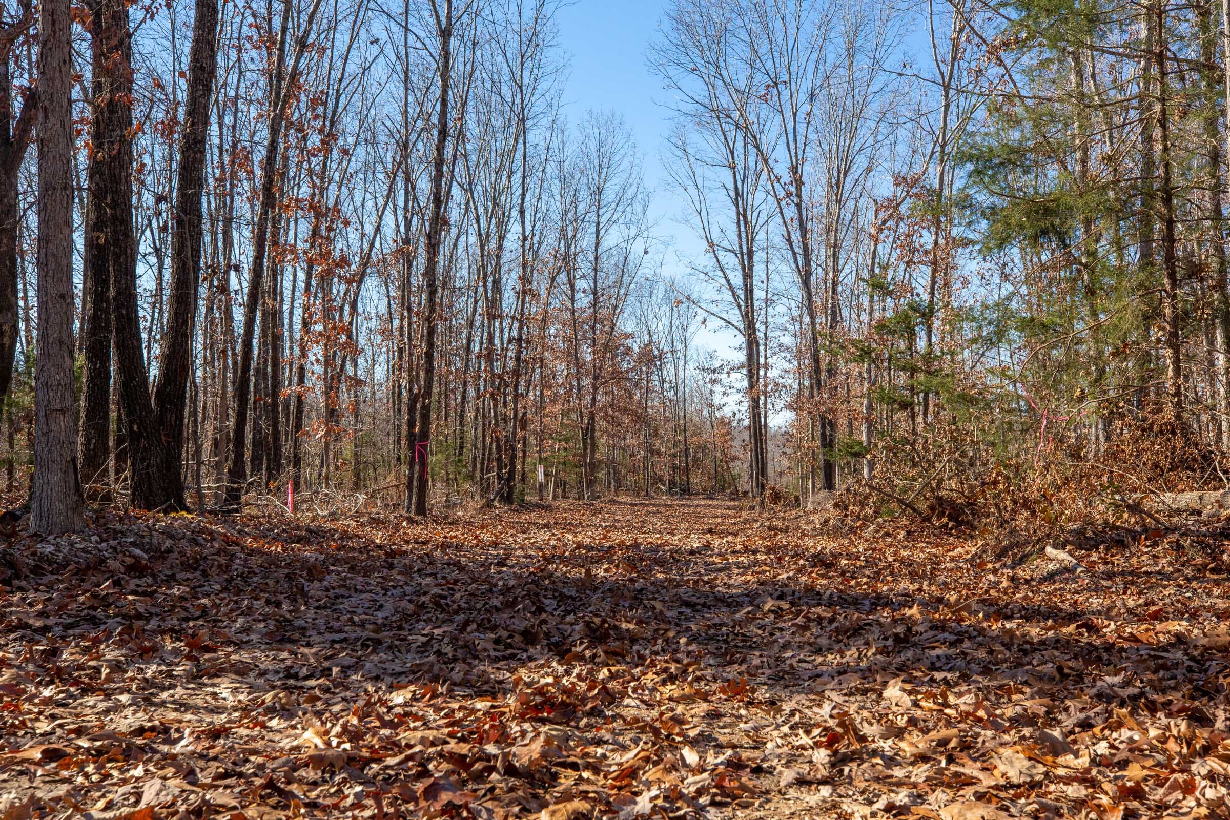 Dutchman Hollow Tract 9 photo 1