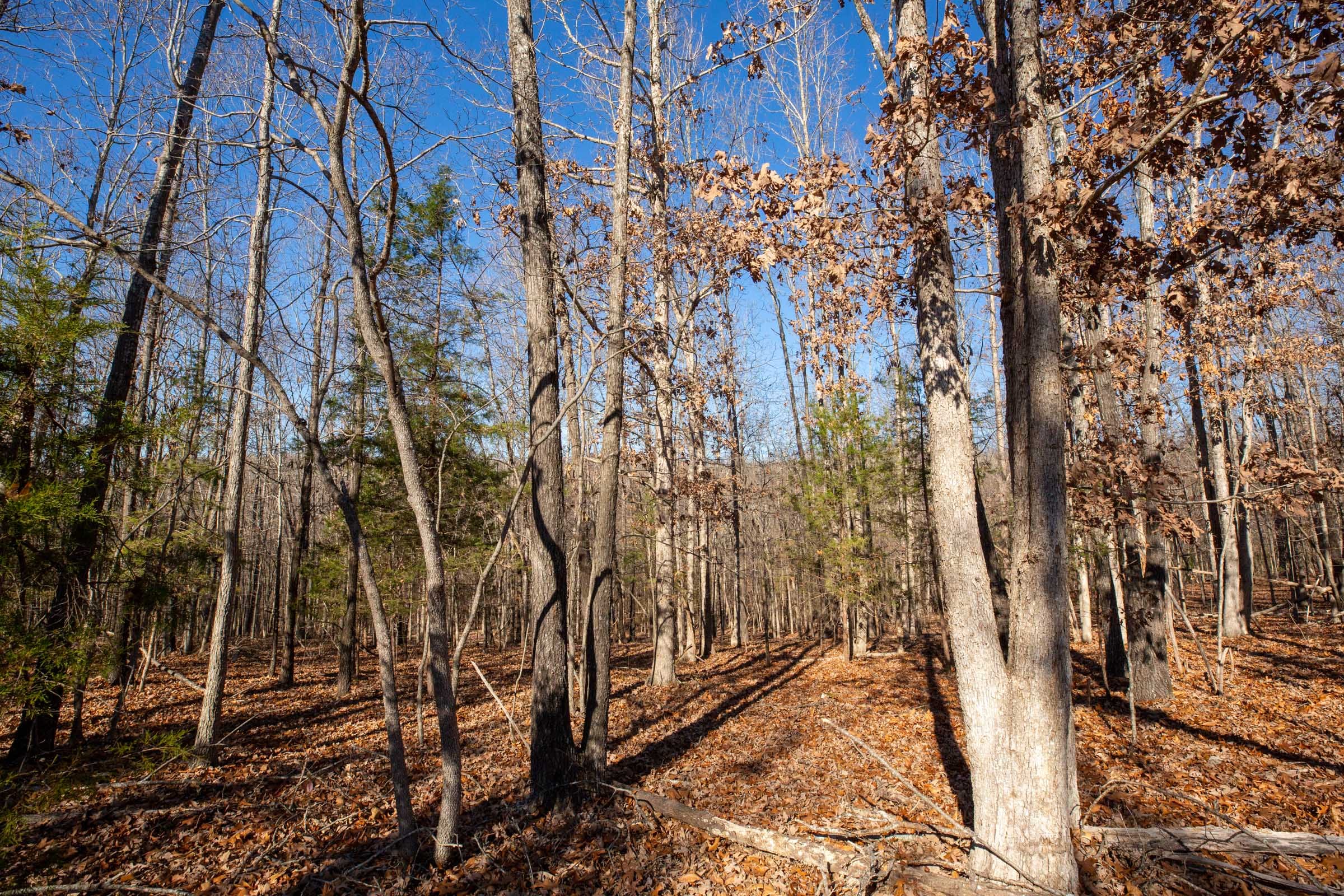 Dutchman Hollow Tract 9 photo 3