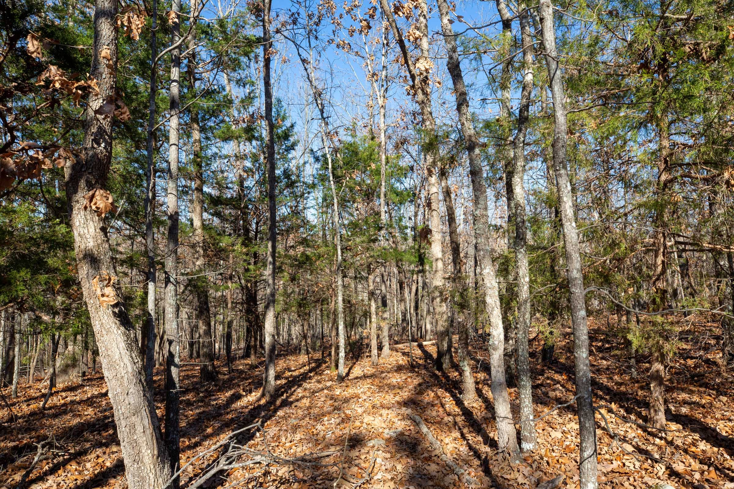 Dutchman Hollow Tract 9 photo 7