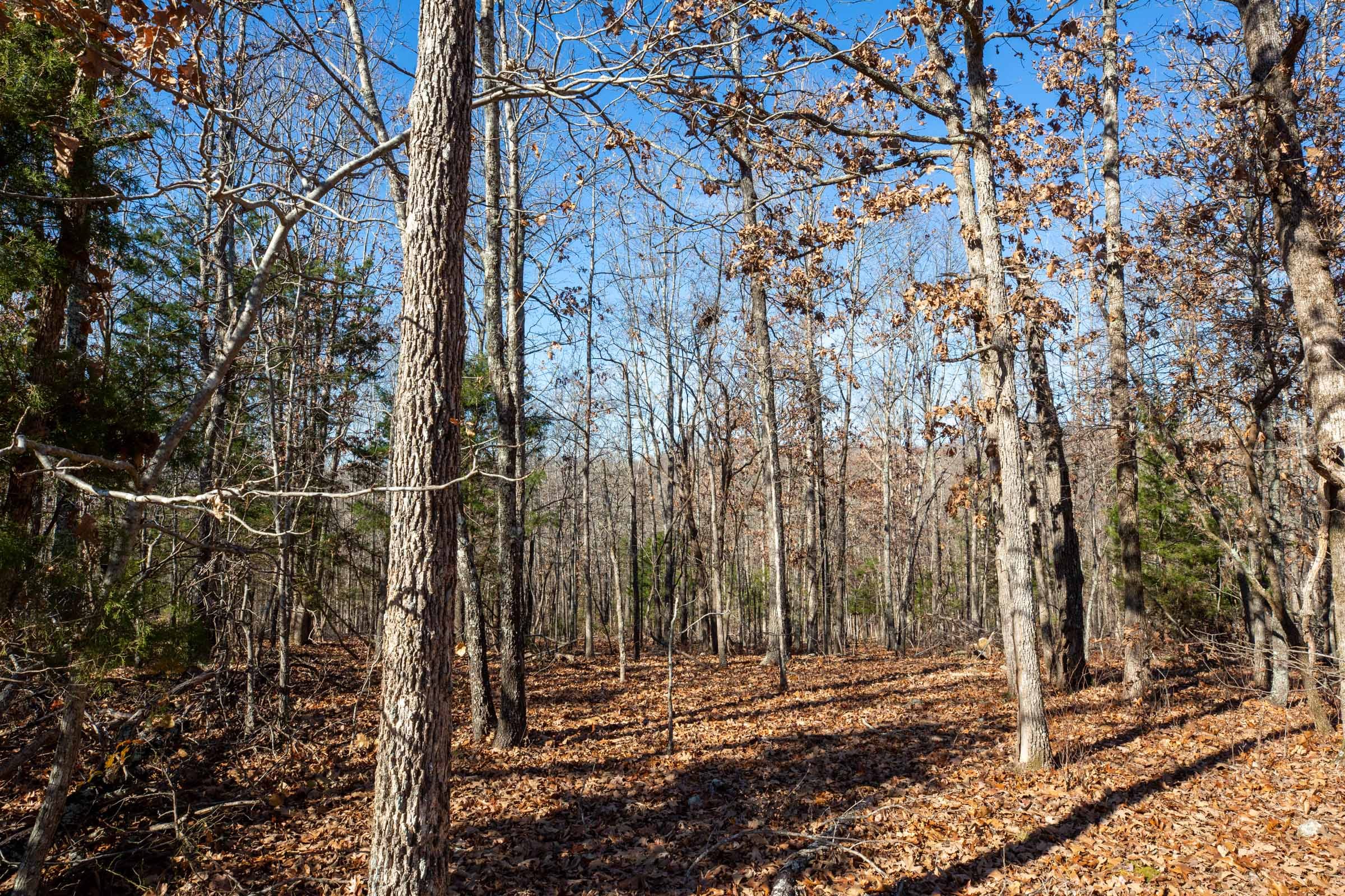 Dutchman Hollow Tract 9 photo 5