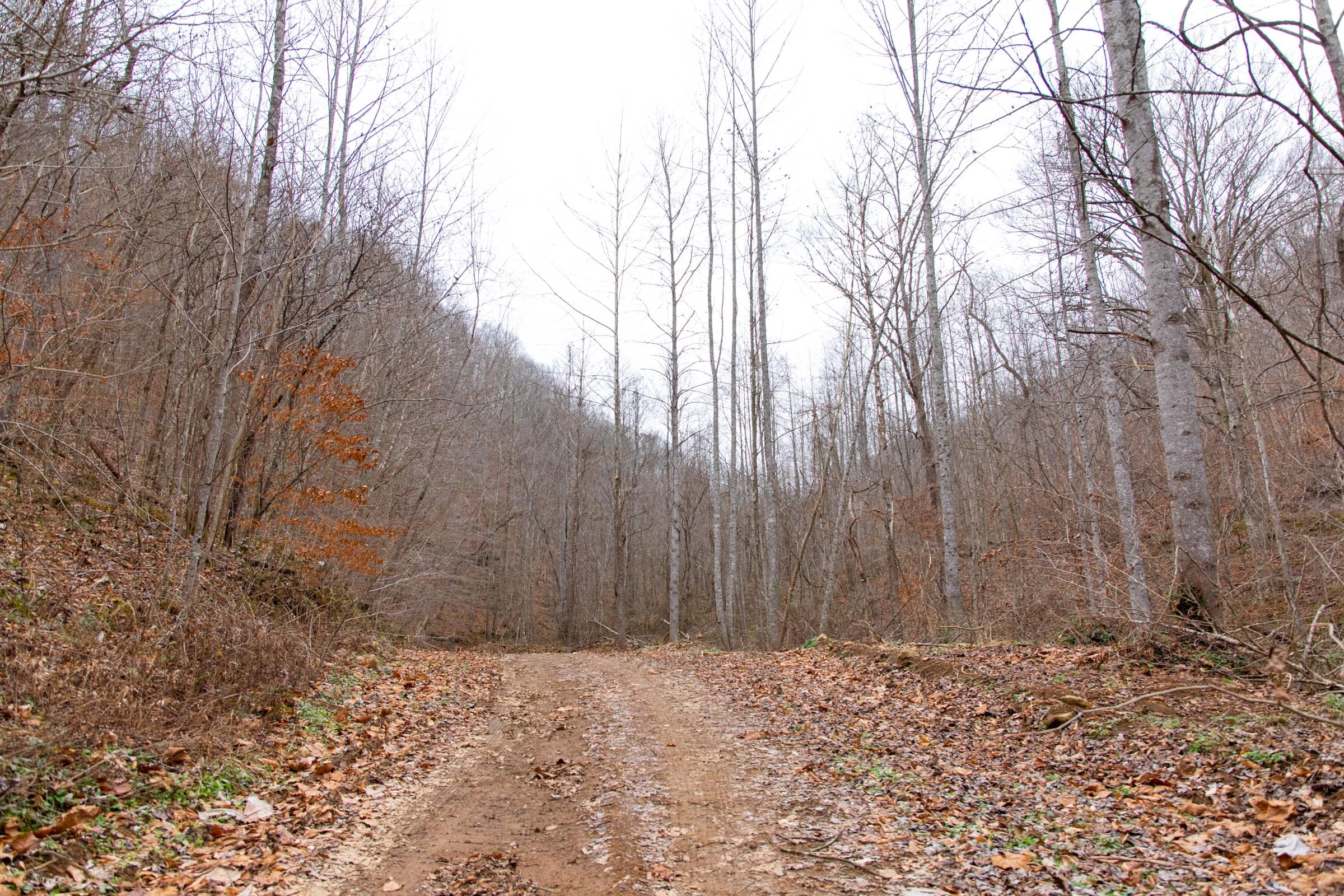 Blackstone Mountain Phase I Tract 41 photo 8
