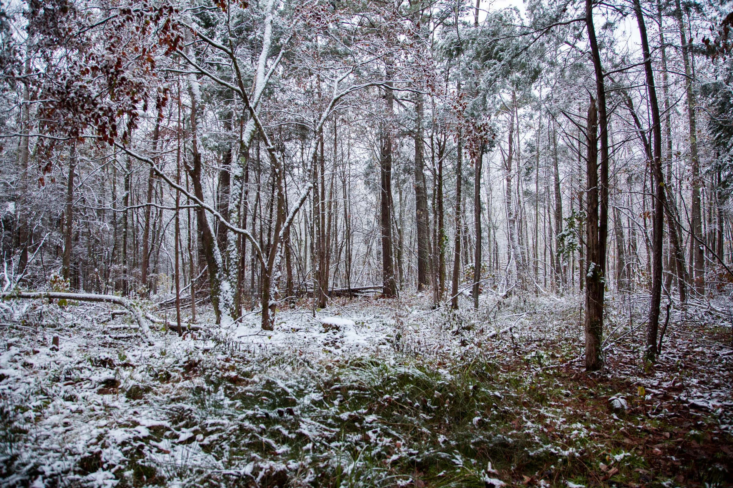 Sweet Water Ranch Tract 21 photo 2