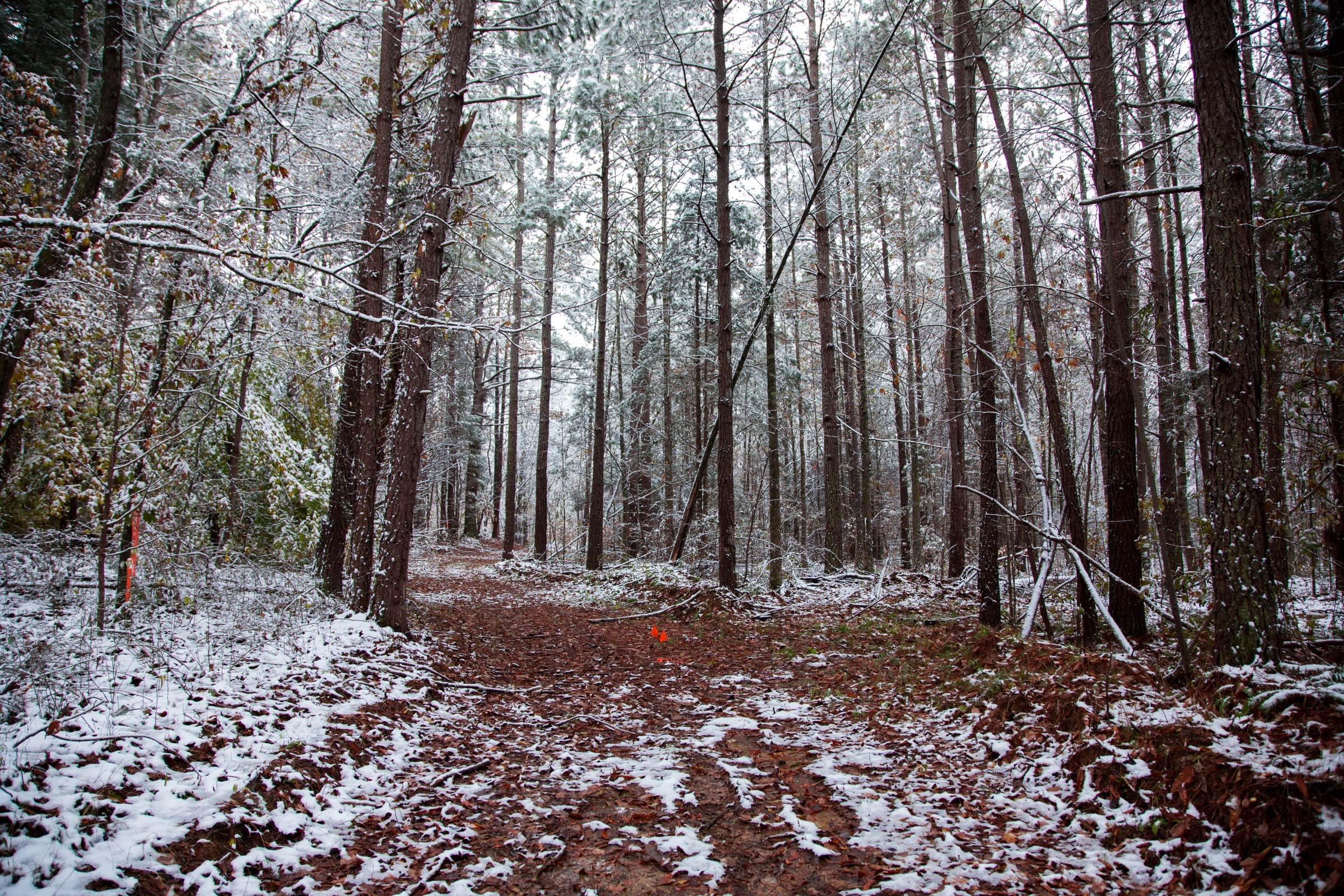 Sweet Water Ranch Tract 21 photo 5