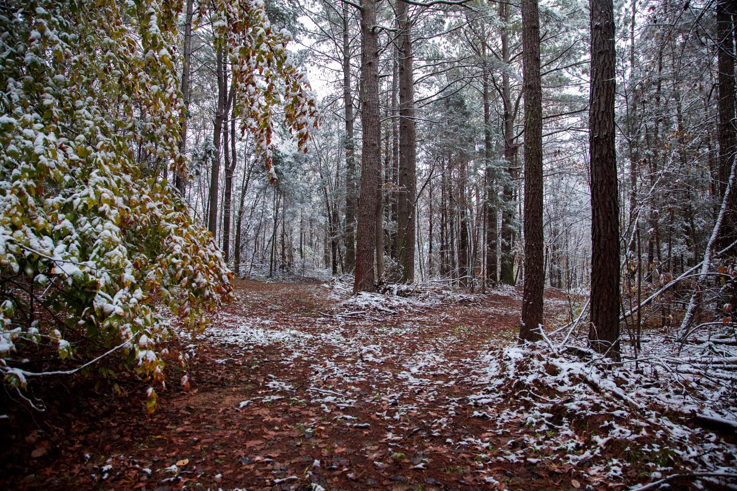 Sweet Water Ranch Tract 21 photo 6