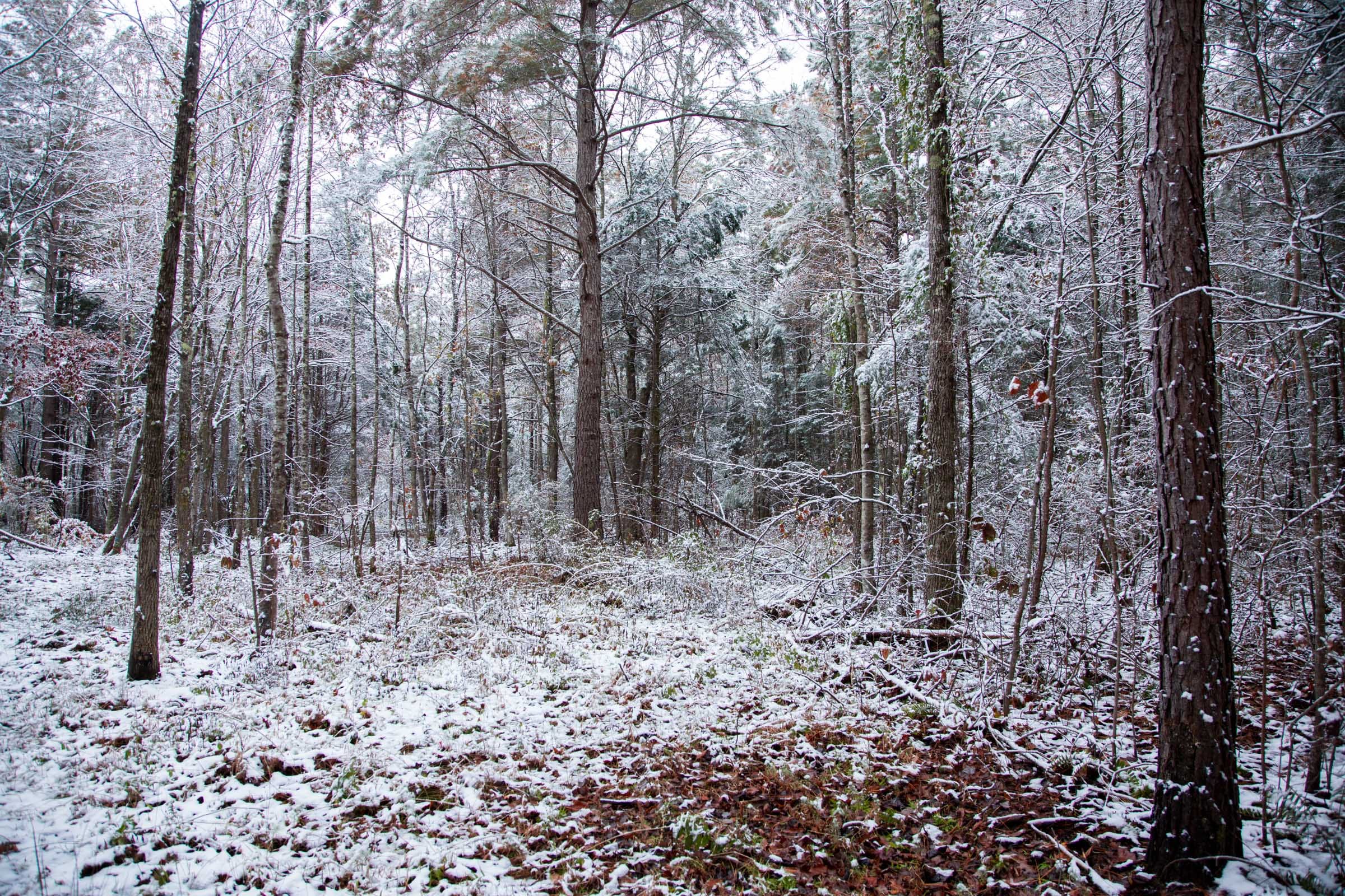 Sweet Water Ranch Tract 21 photo 8