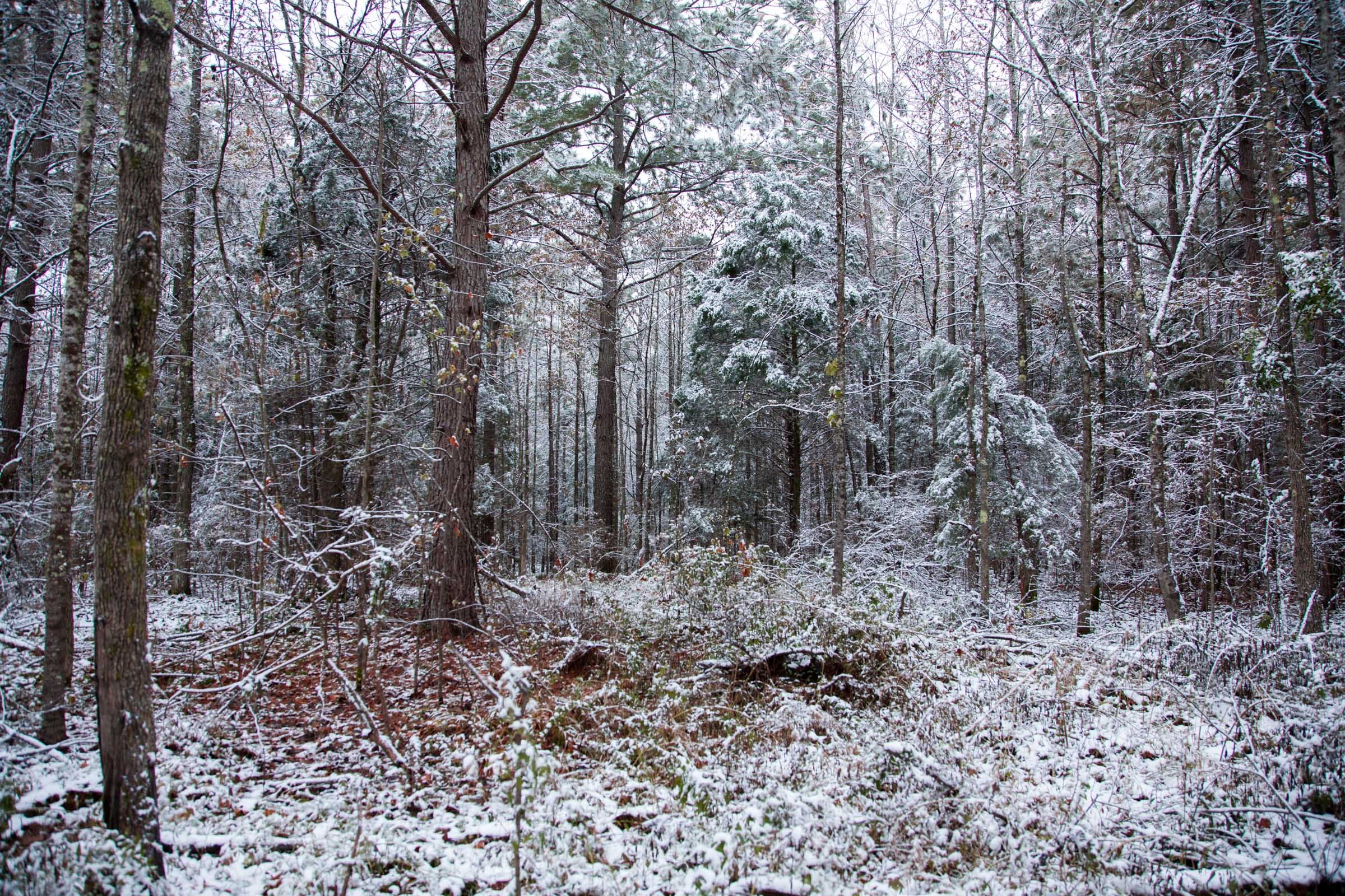 Sweet Water Ranch Tract 21 photo 9