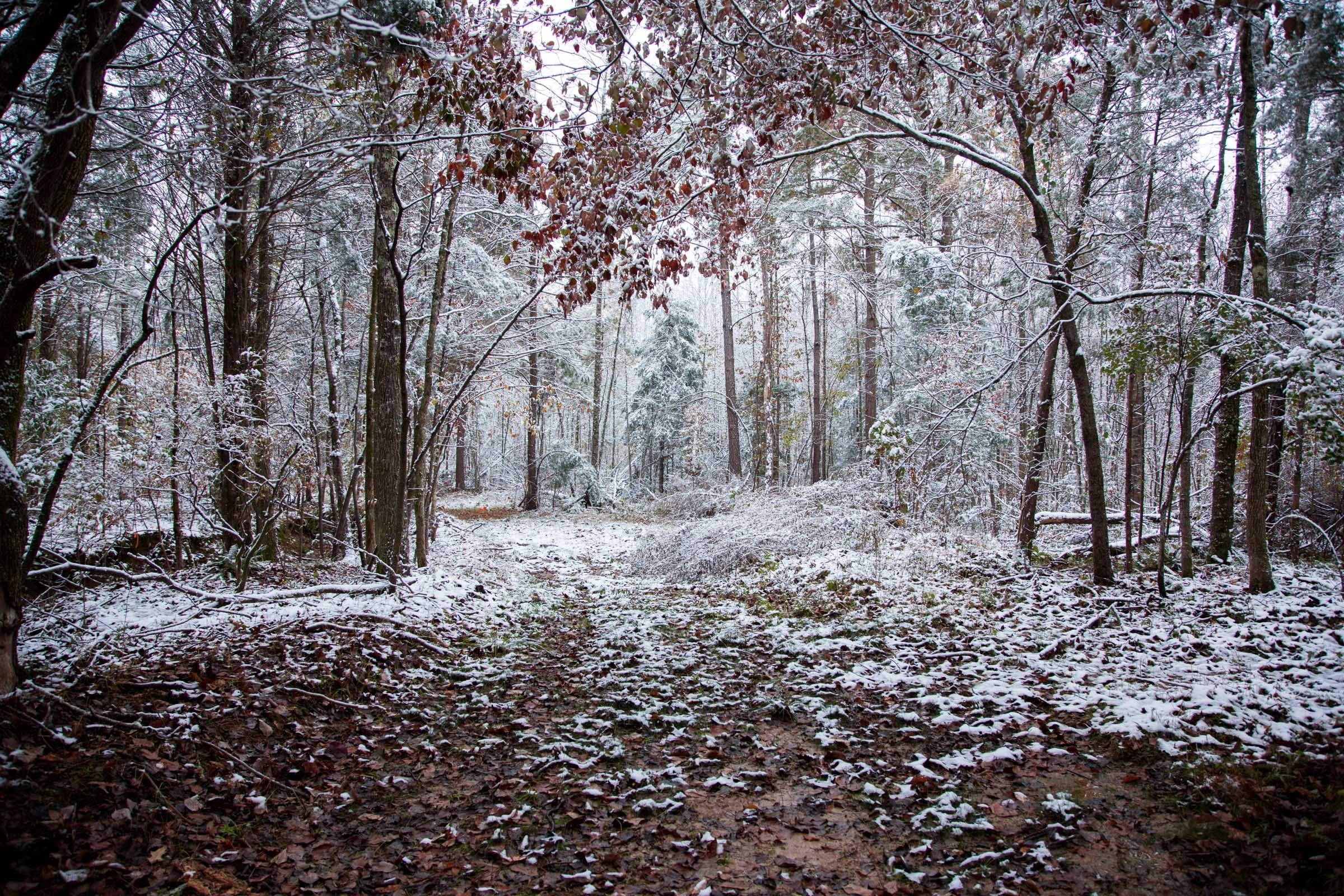 Sweet Water Ranch Tract 21 photo 11