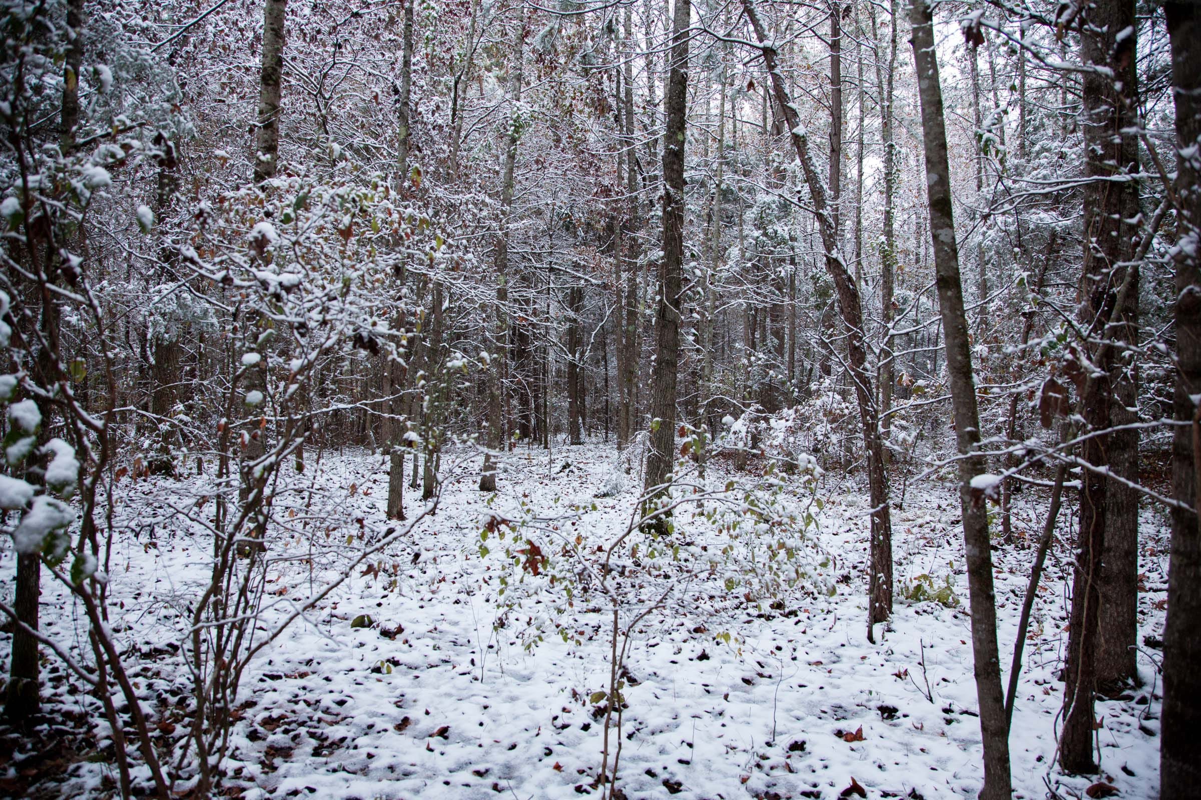 Sweet Water Ranch Tract 21 photo 12