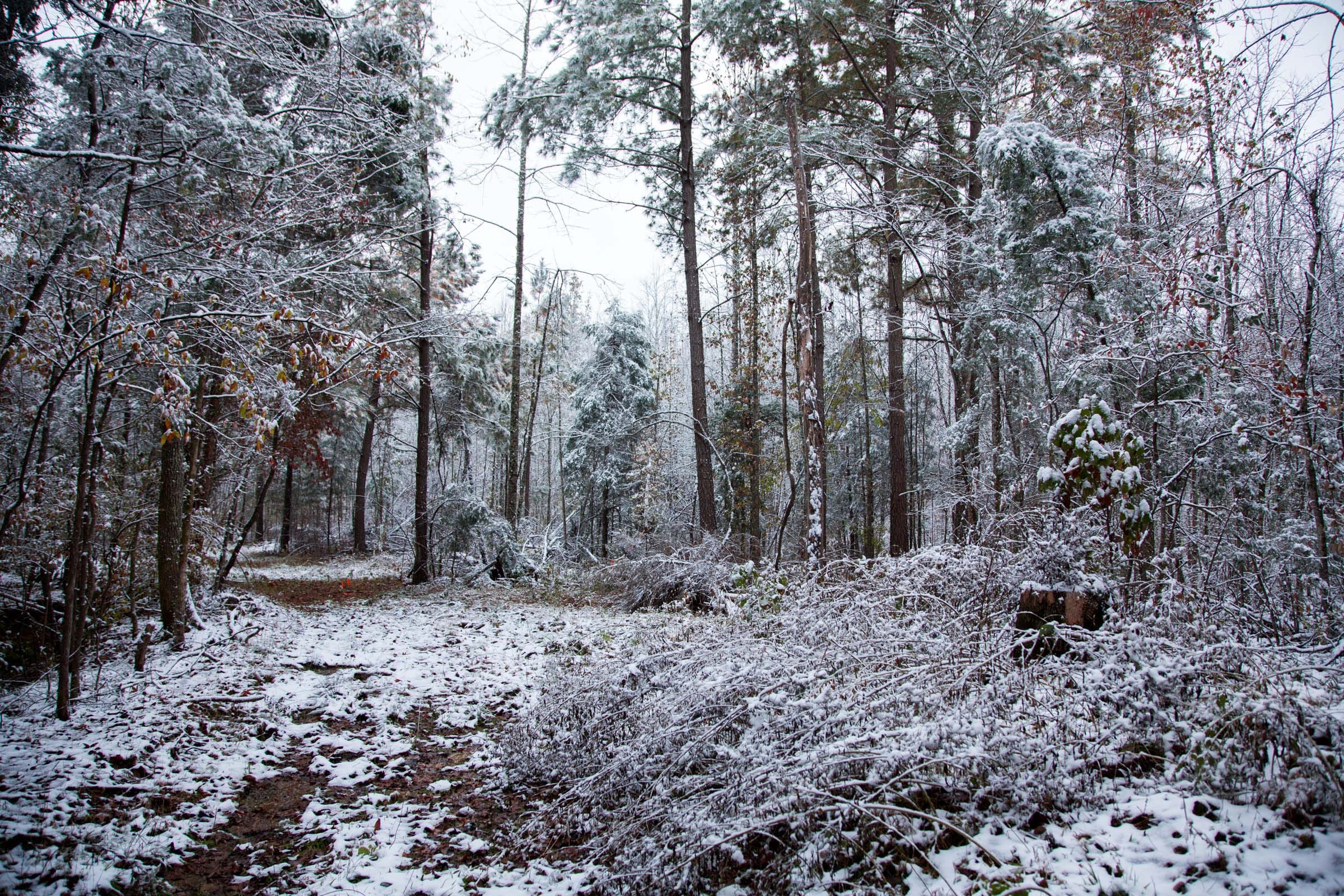 Sweet Water Ranch Tract 21 photo 13