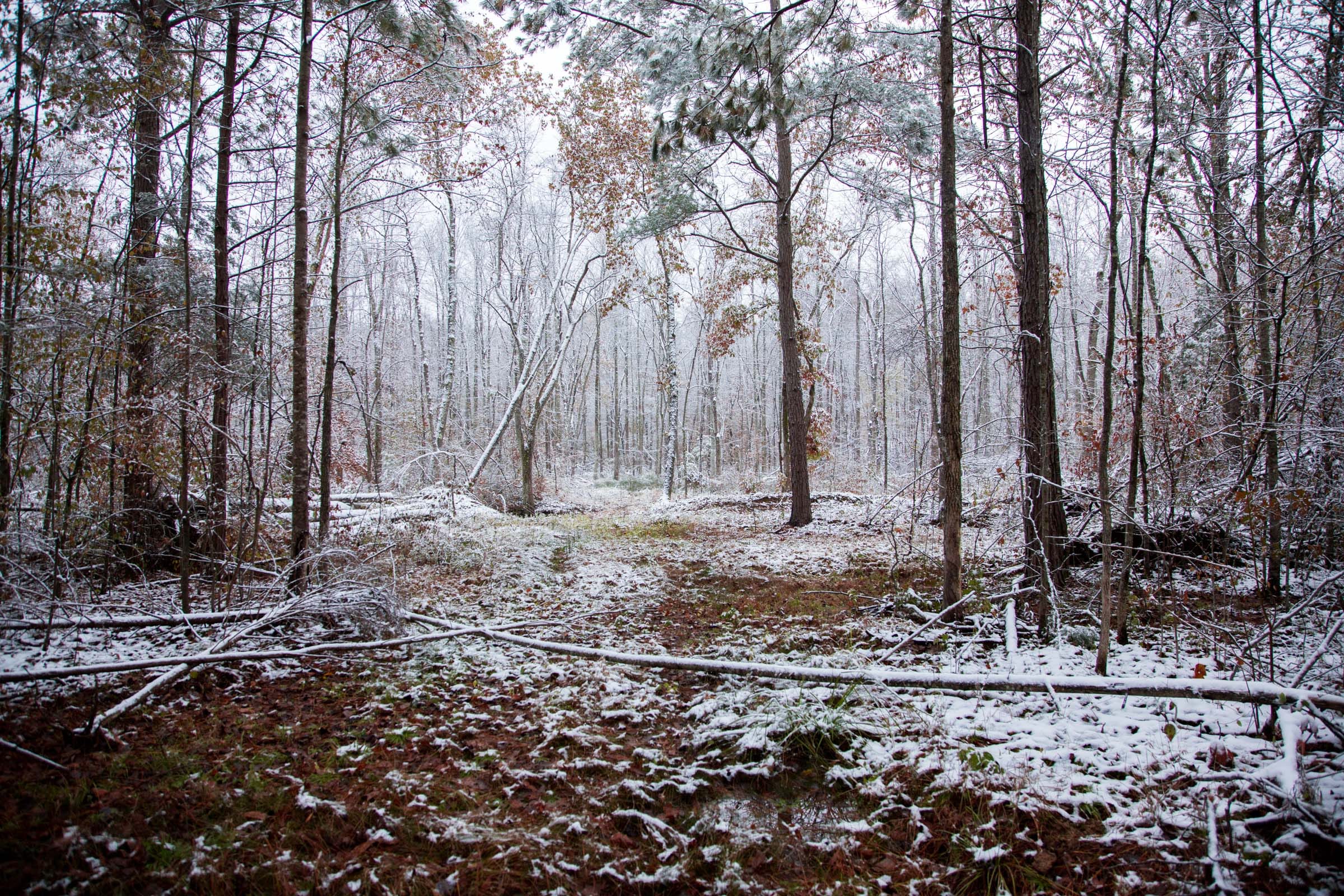 Sweet Water Ranch Tract 21 photo 15