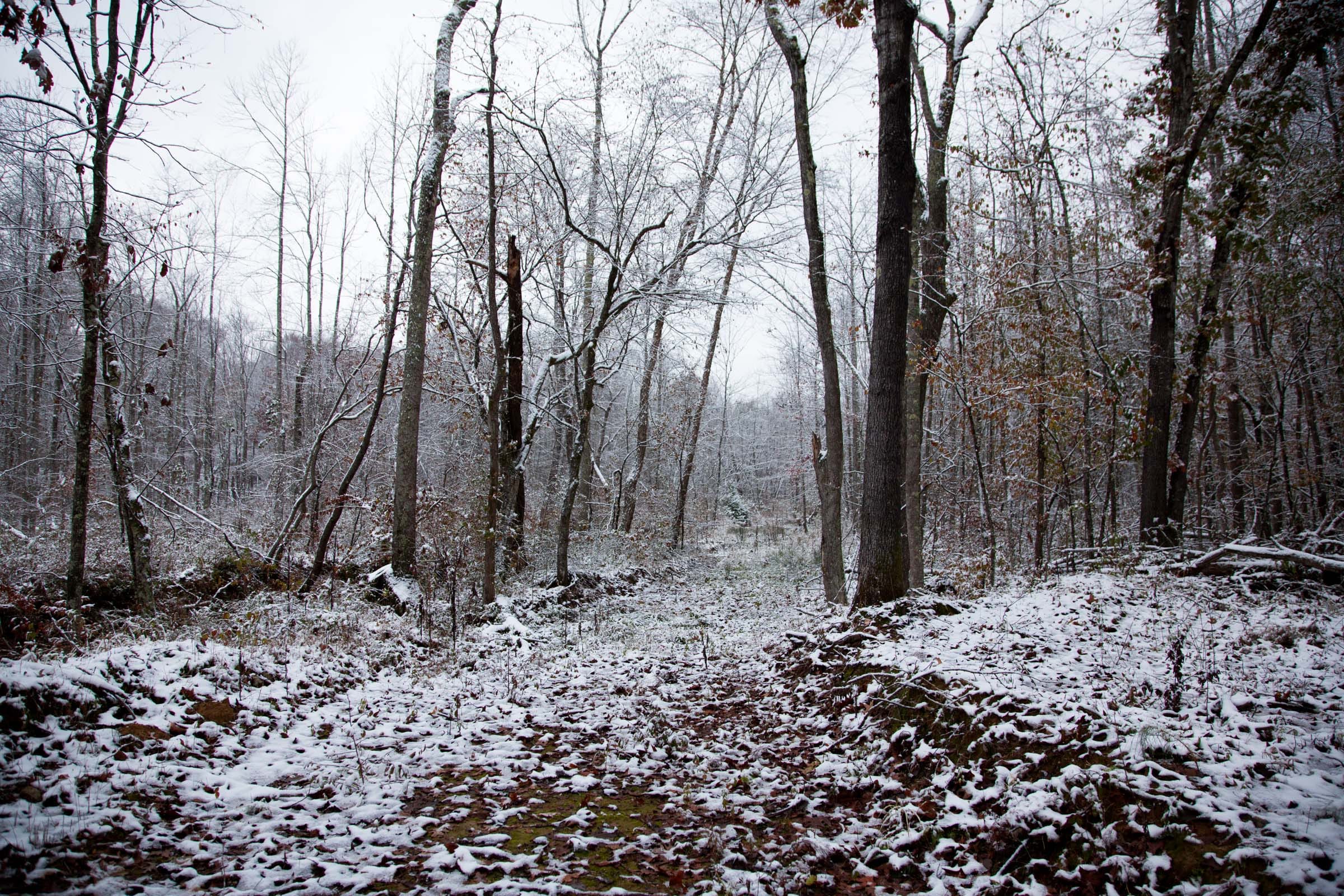 Sweet Water Ranch Tract 21 photo 17