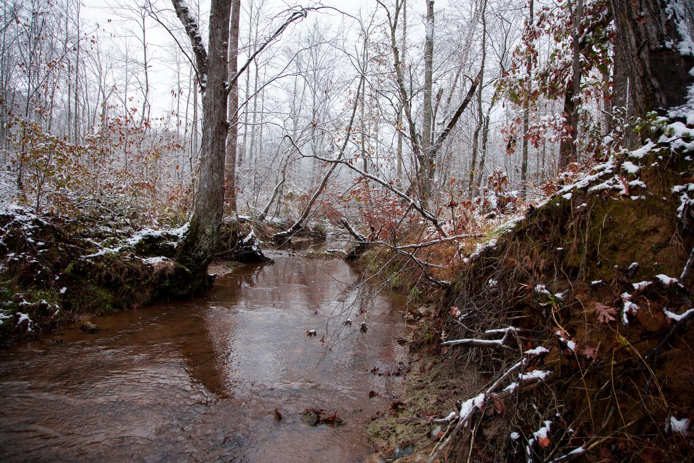 Sweet Water Ranch Tract 21 photo 18