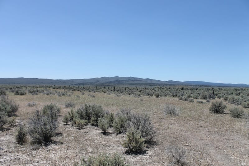 Ravendale Ranch Tract 4 photo 1