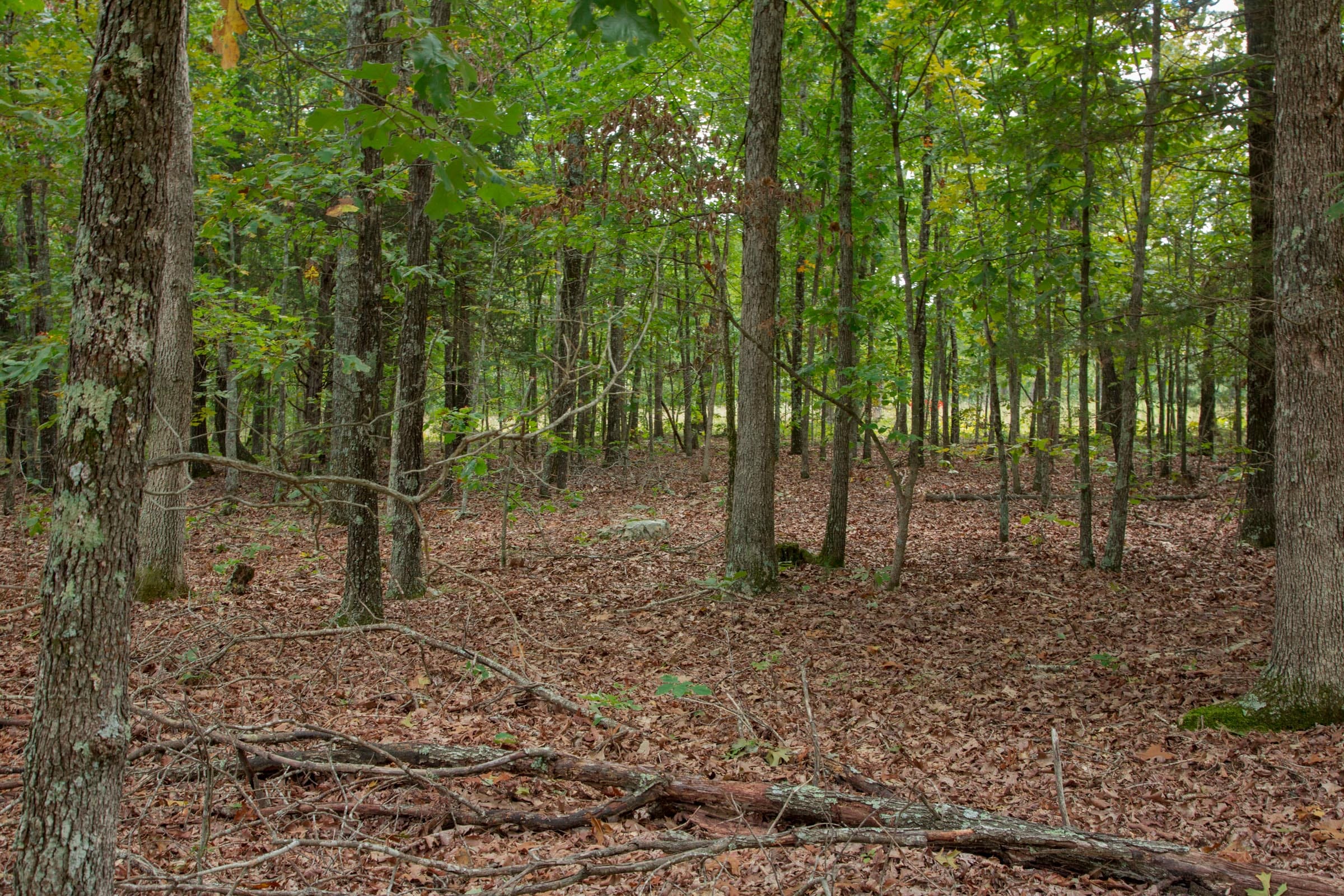 Wagon Wheel Ranch Tract 13 photo 3