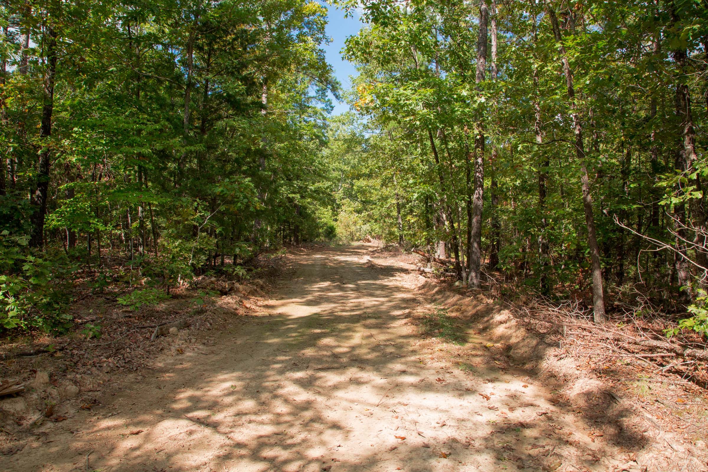 Wagon Wheel Ranch Tract 13 photo 4