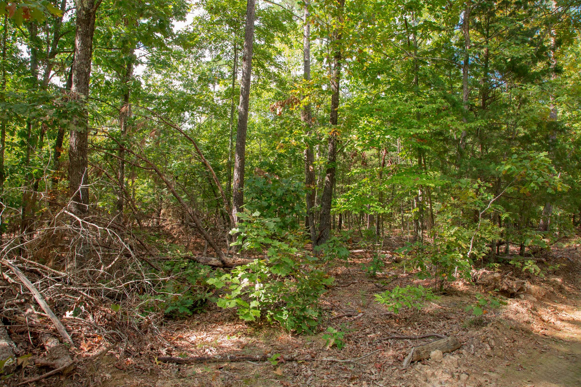 Wagon Wheel Ranch Tract 13 photo 5