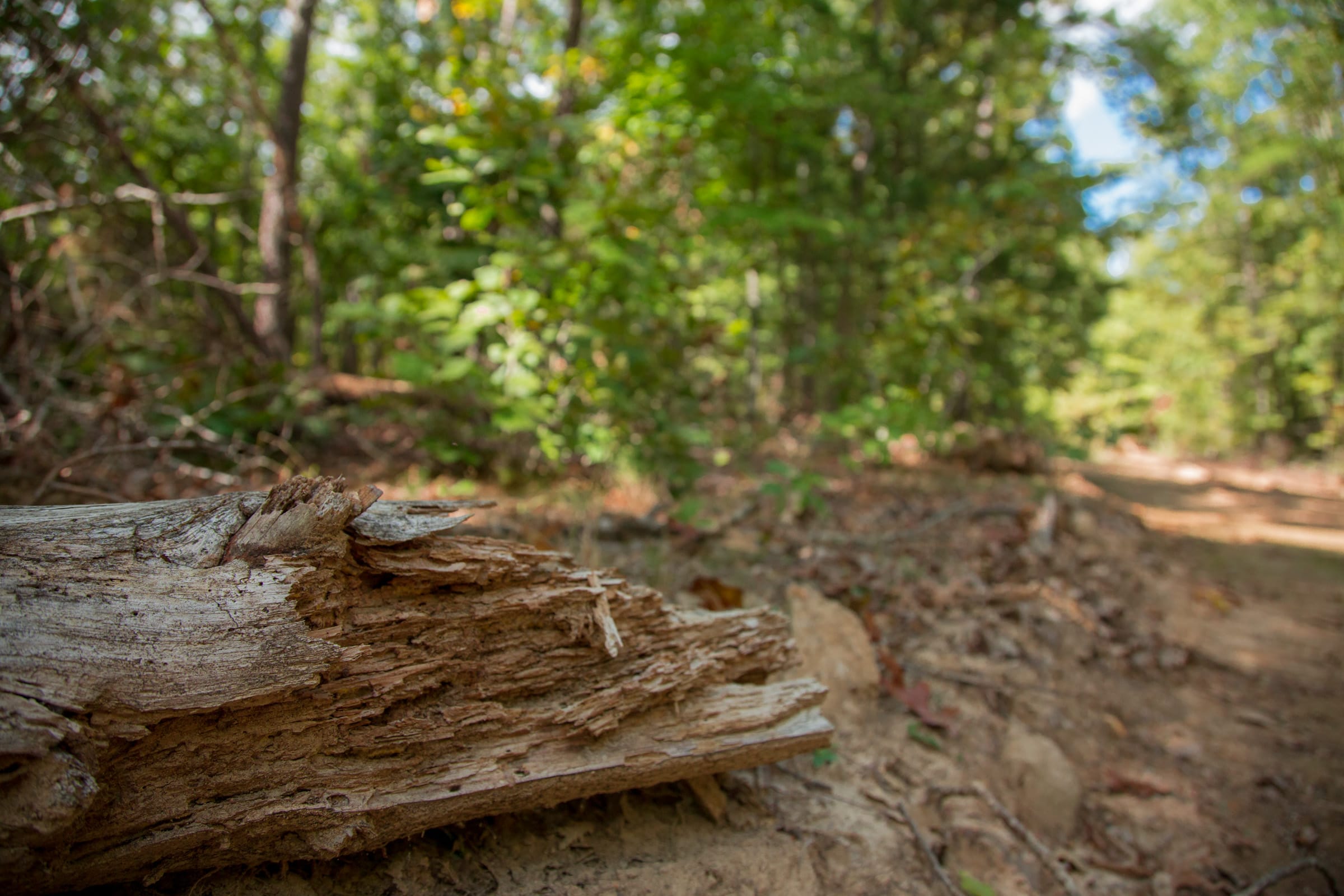 Wagon Wheel Ranch Tract 13 photo 8