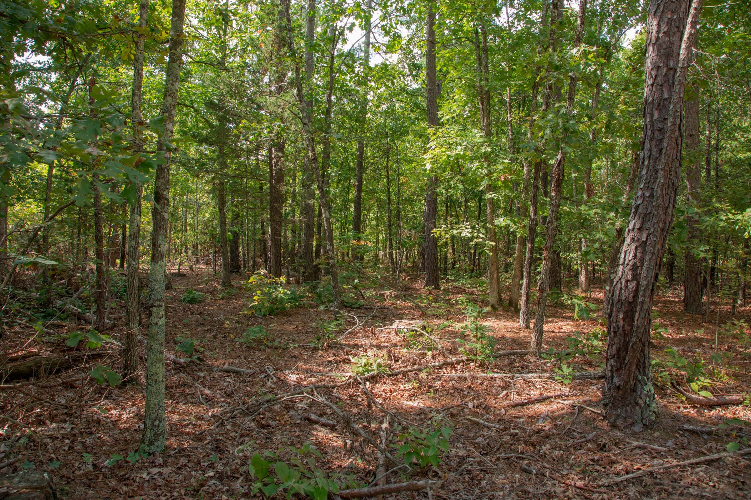 Wagon Wheel Ranch Tract 13 photo 9