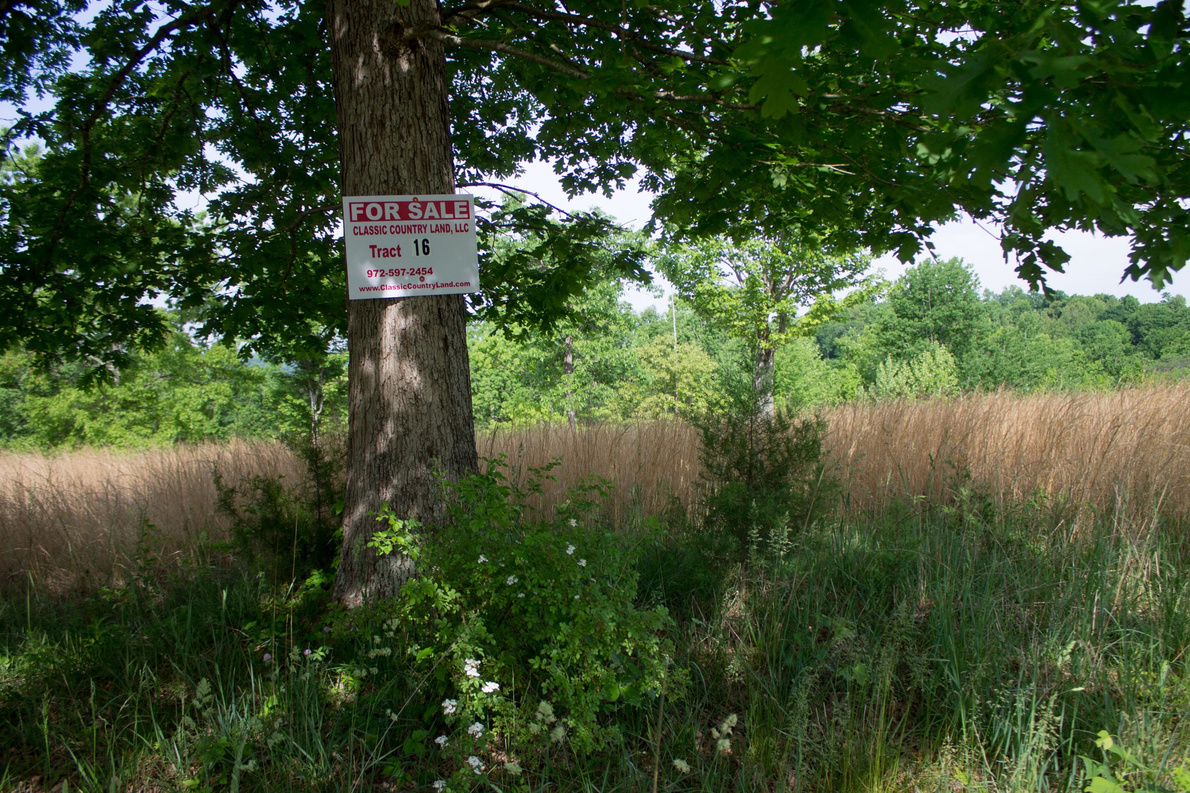 Laurel Ridge Tract 16 photo 1