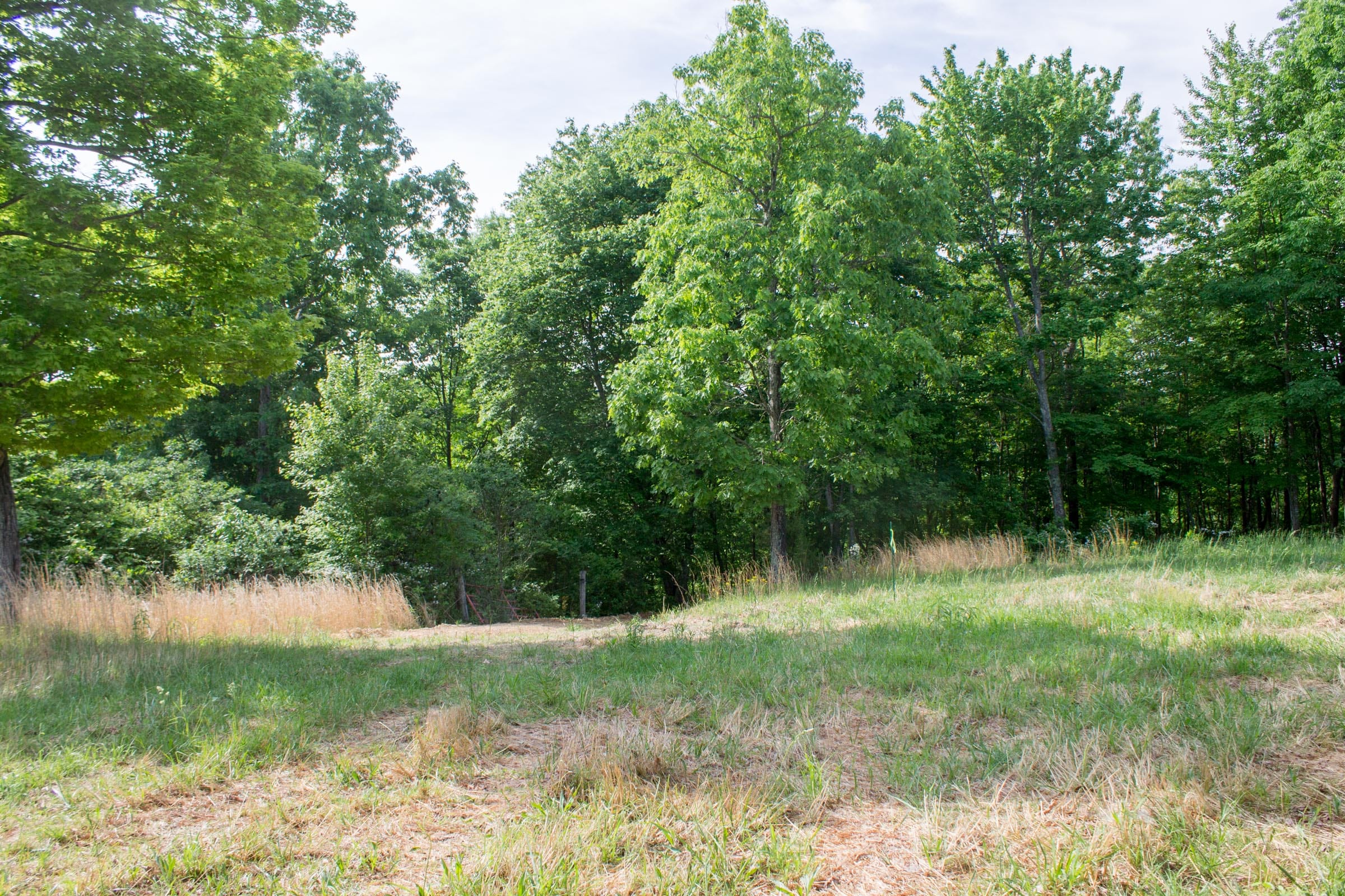 Laurel Ridge Tract 16 photo 2