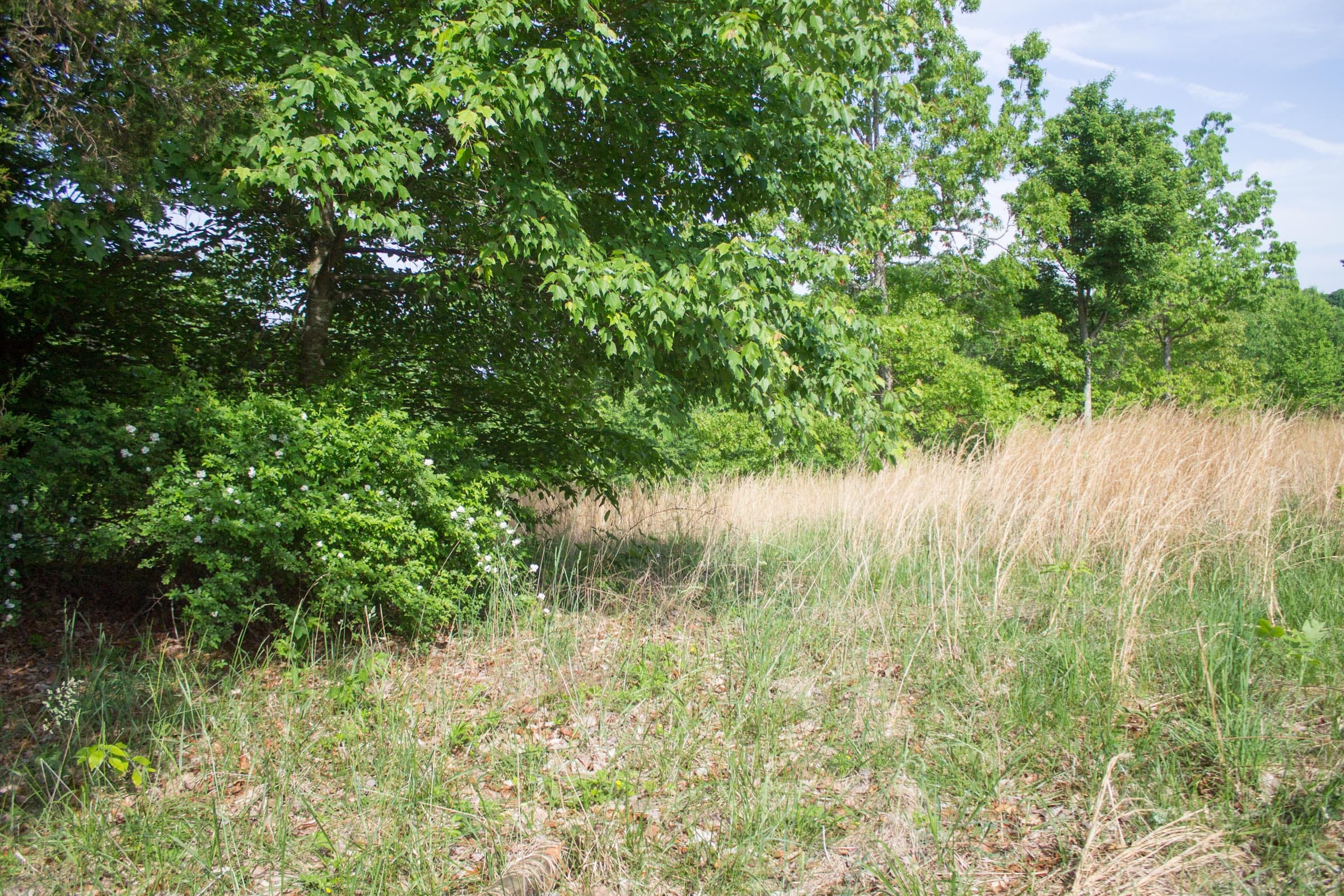 Laurel Ridge Tract 16 photo 5