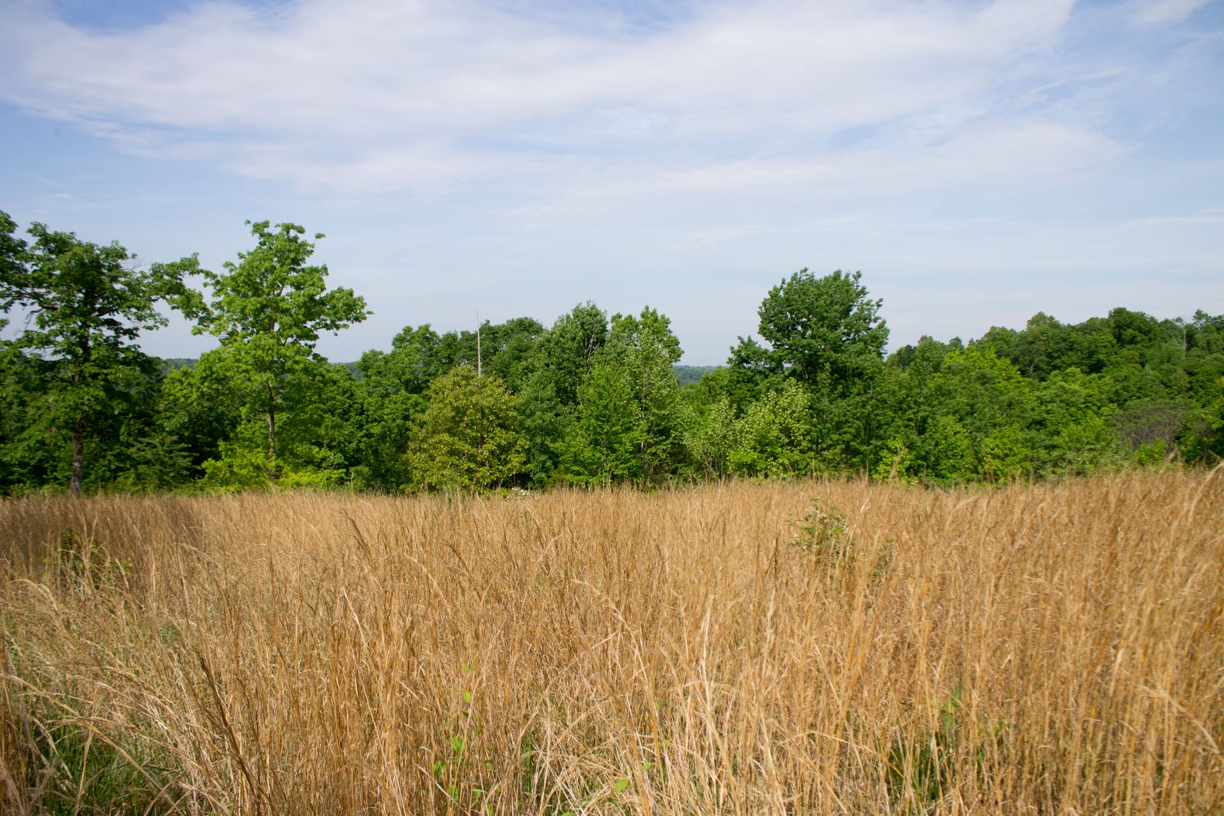 Laurel Ridge Tract 16 photo 15