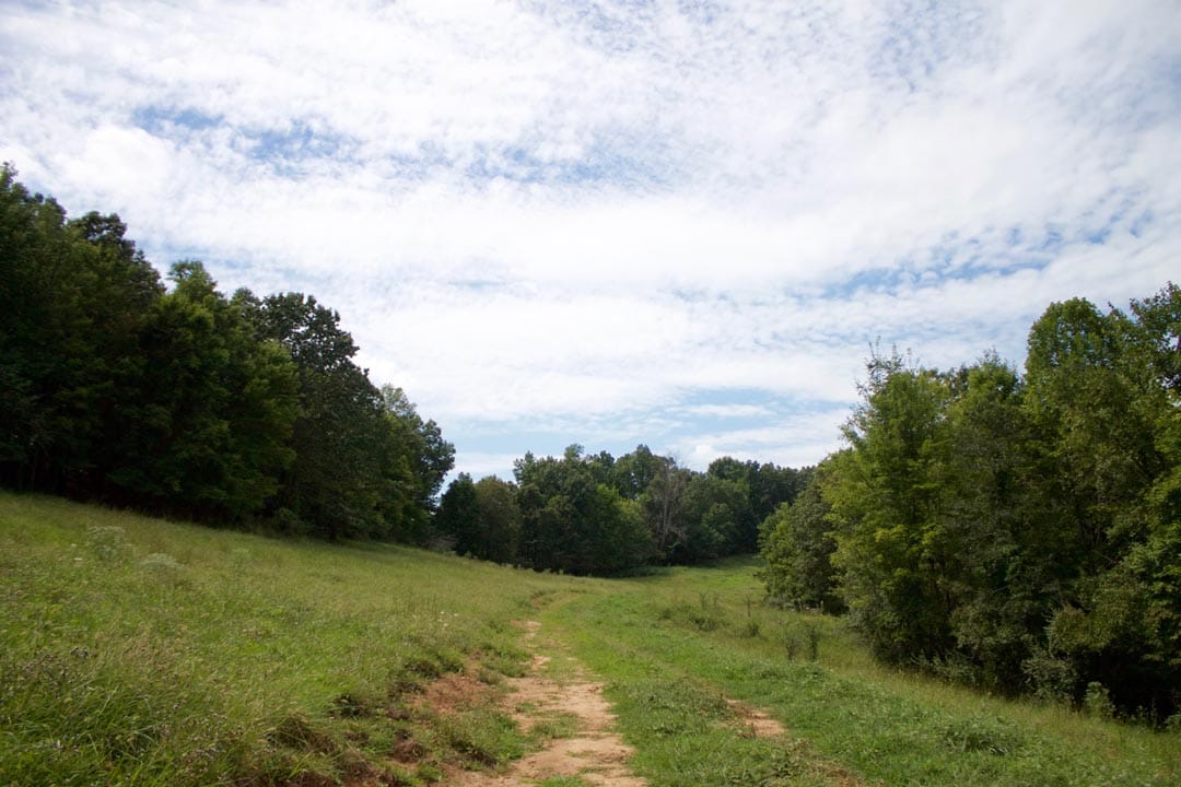 Heritage Hollow Tract 14 photo 3