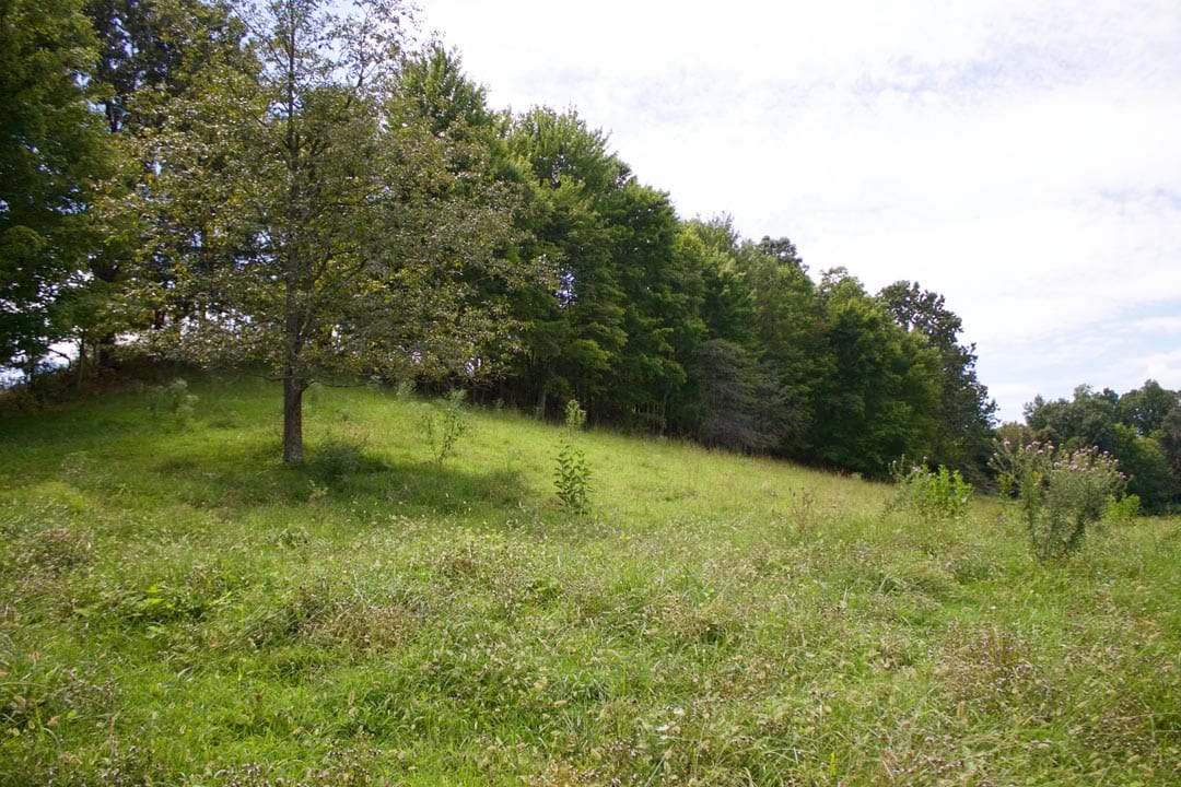 Heritage Hollow Tract 14 photo 4