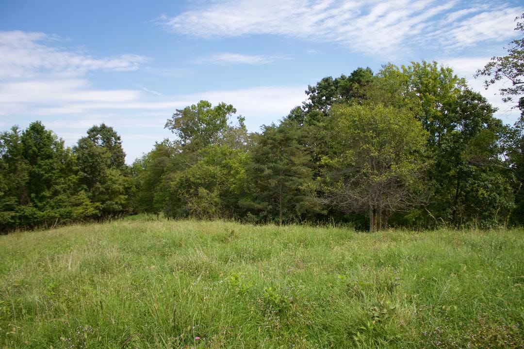 Heritage Hollow Tract 14 photo 5